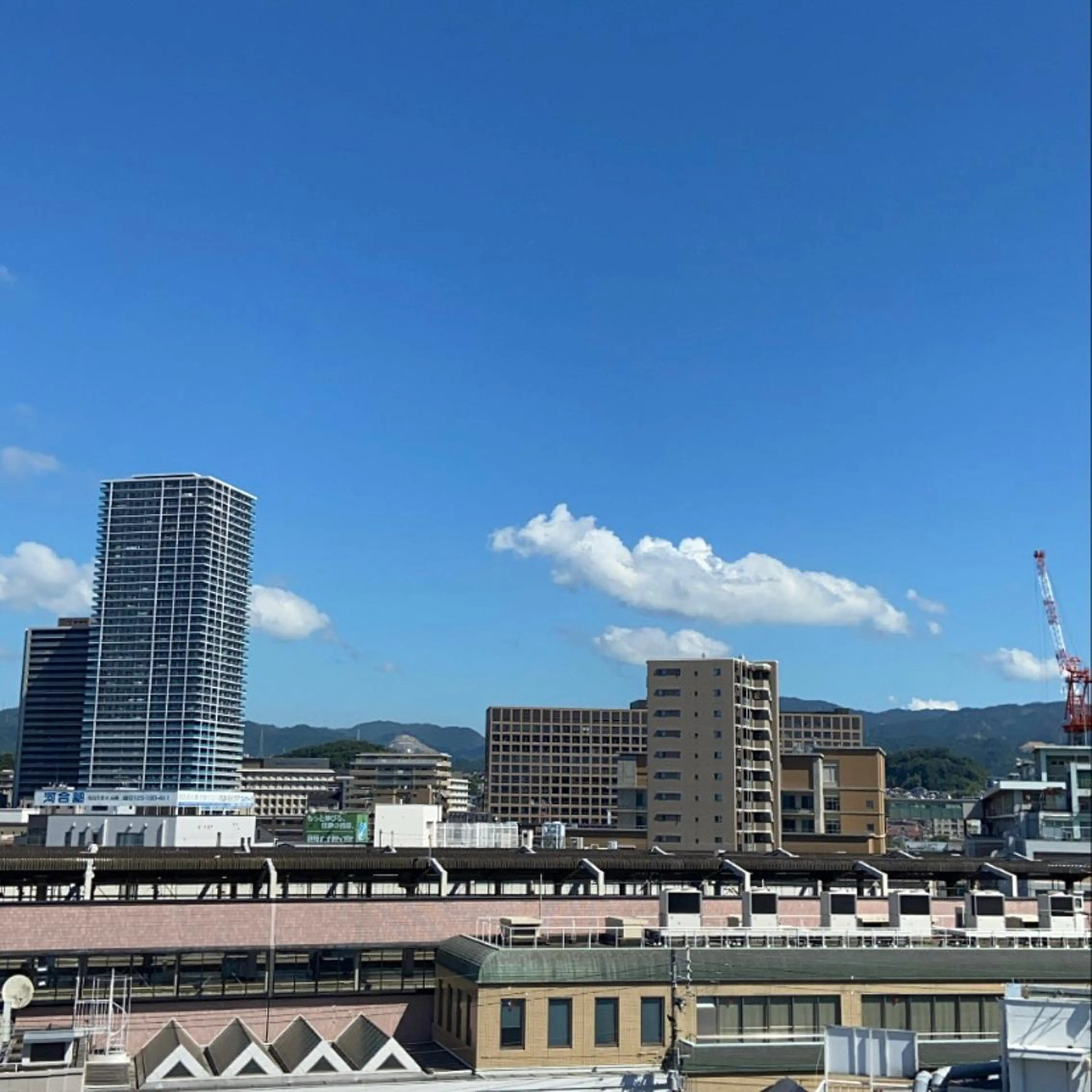 TIDEHAIR SHIHOのヘアスタイル