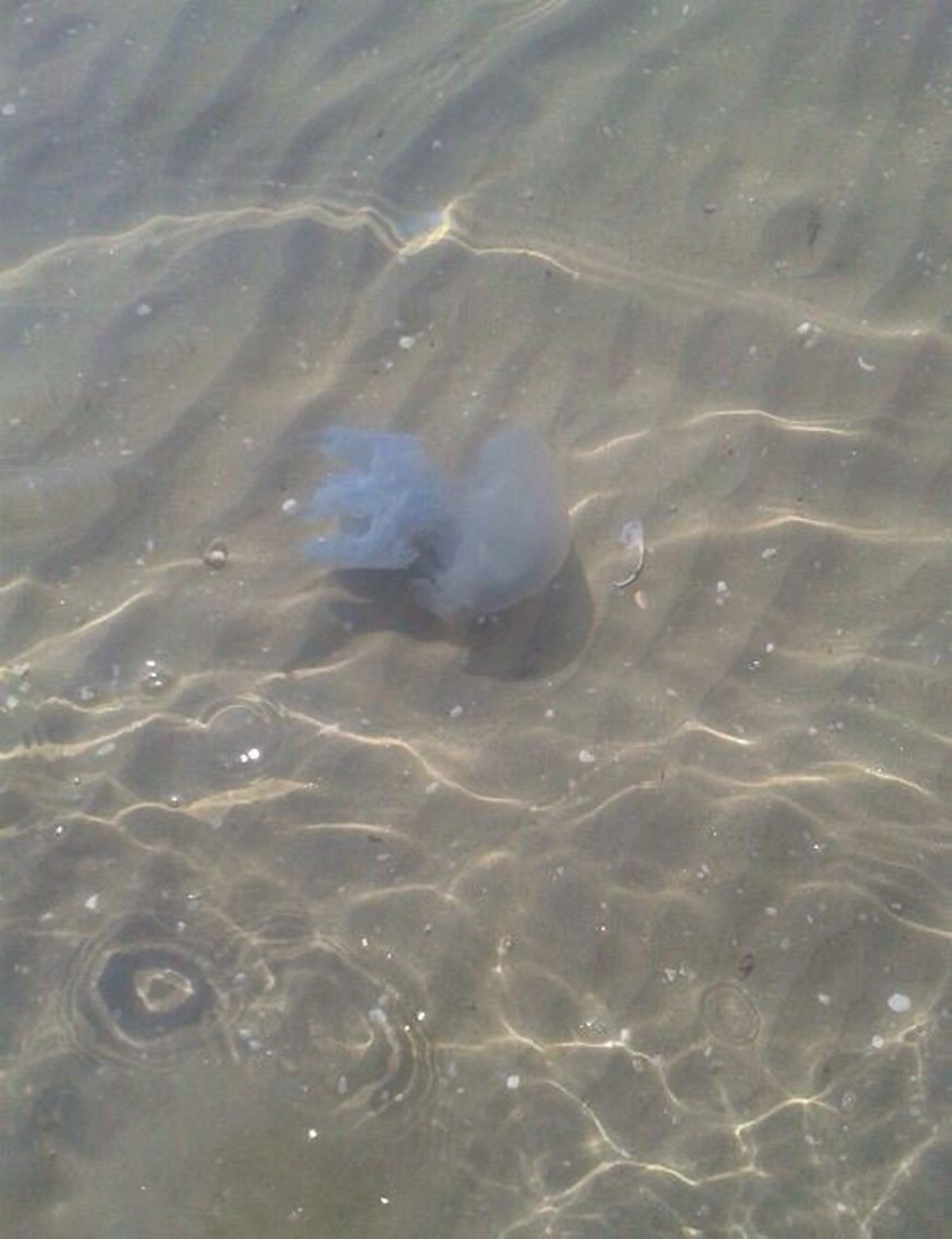 OLIVIA GINZA上野のマツエク・マツパデザイン