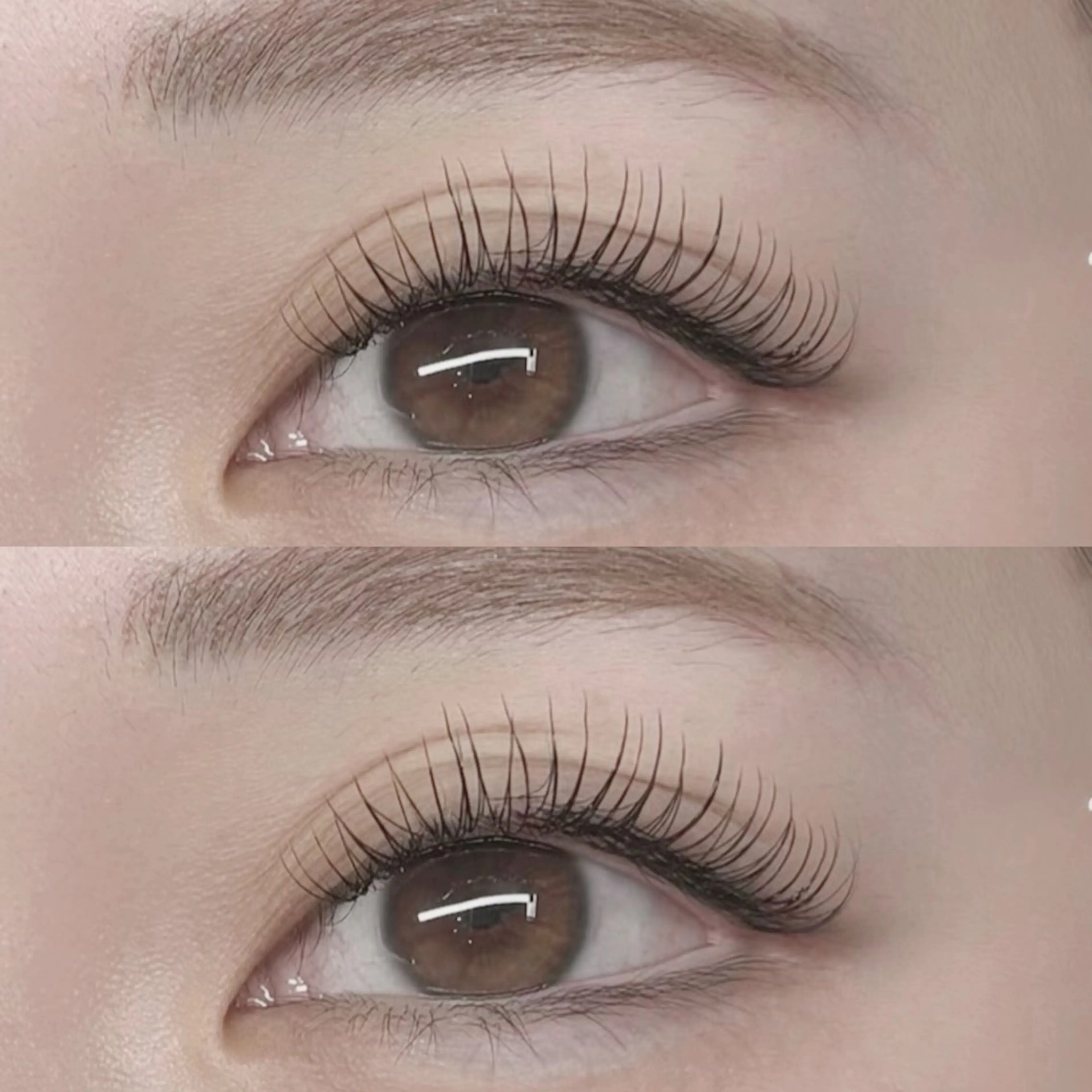 マツエク・マツパ マツエク ♥️JiJi ♥️のマツエク・マツパデザイン