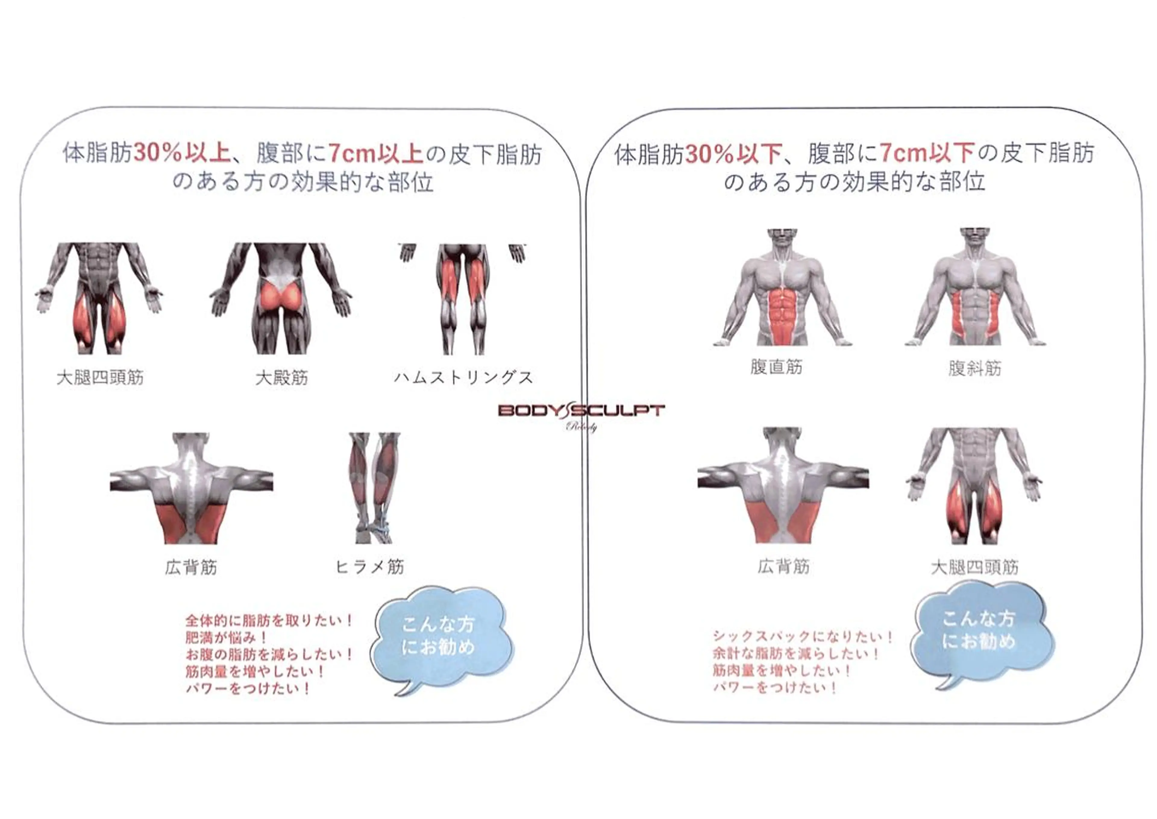 ポー・ラ・サンテ 新宿御苑店のその他イメージ
