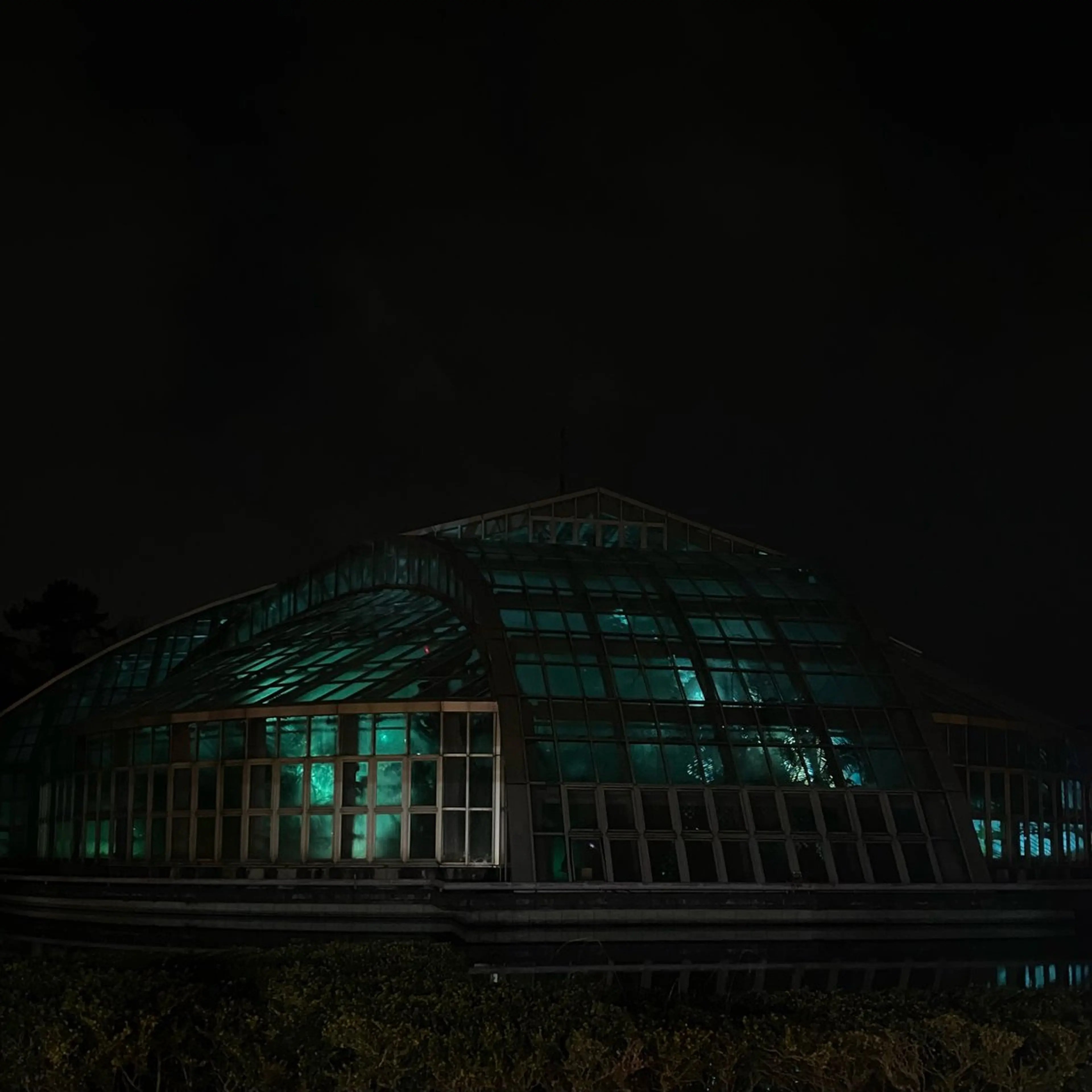 ネイル nano/きもかわ nail🐬🫧のネイルデザイン