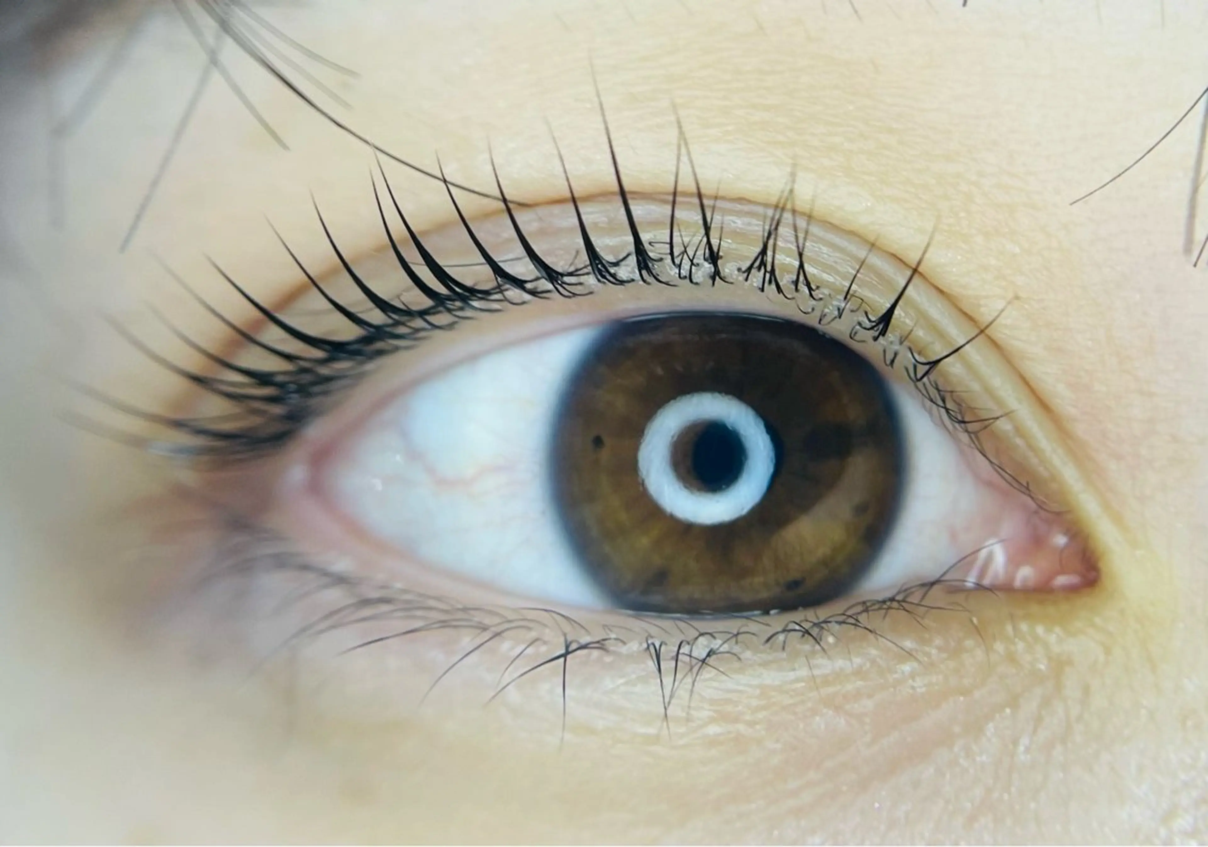 マツエク・マツパ L🎀リアン サロンのマツエク・マツパデザイン