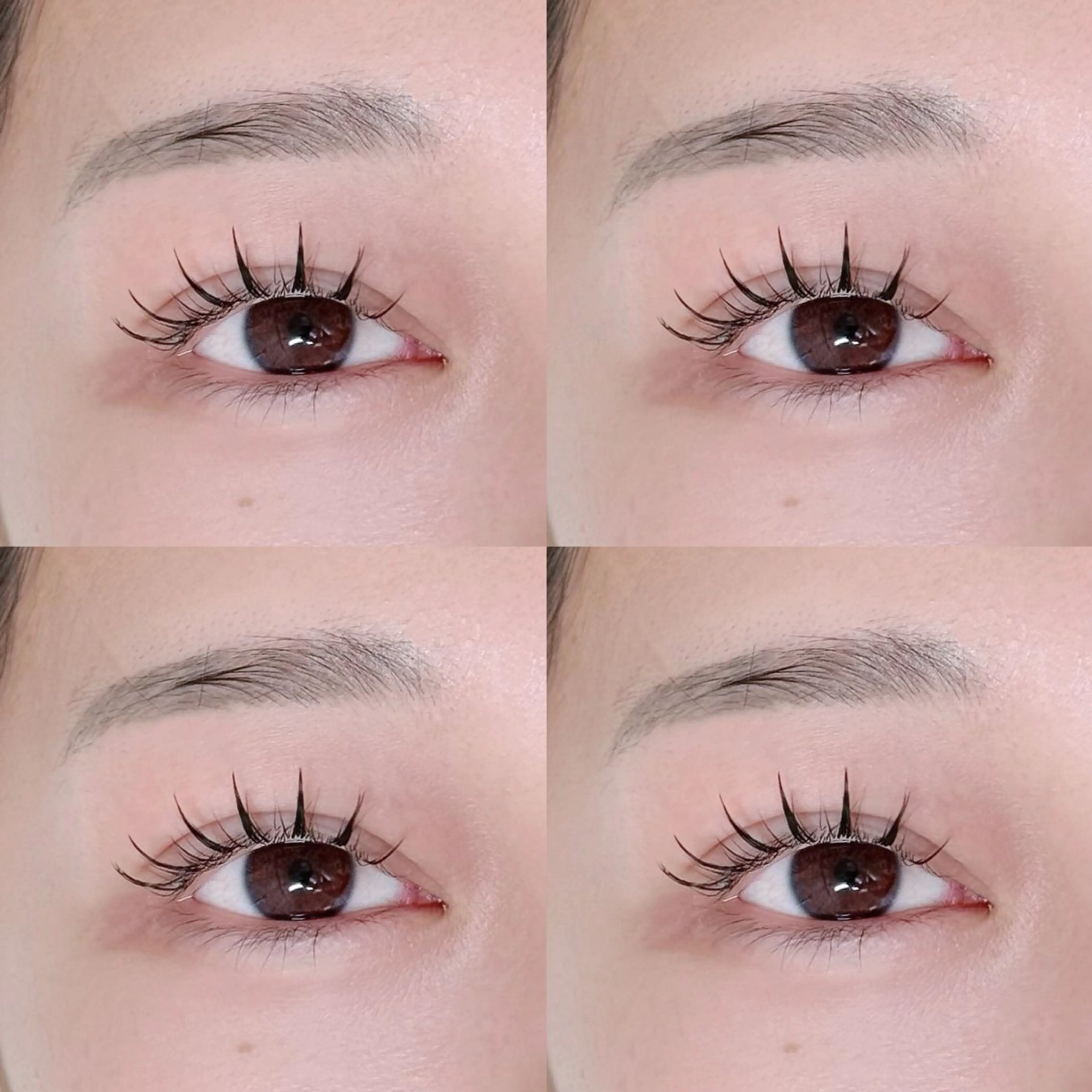 マツエク・マツパ マツパ Mignon所属・mignon eye YUKINOのマツエク・マツパデザイン