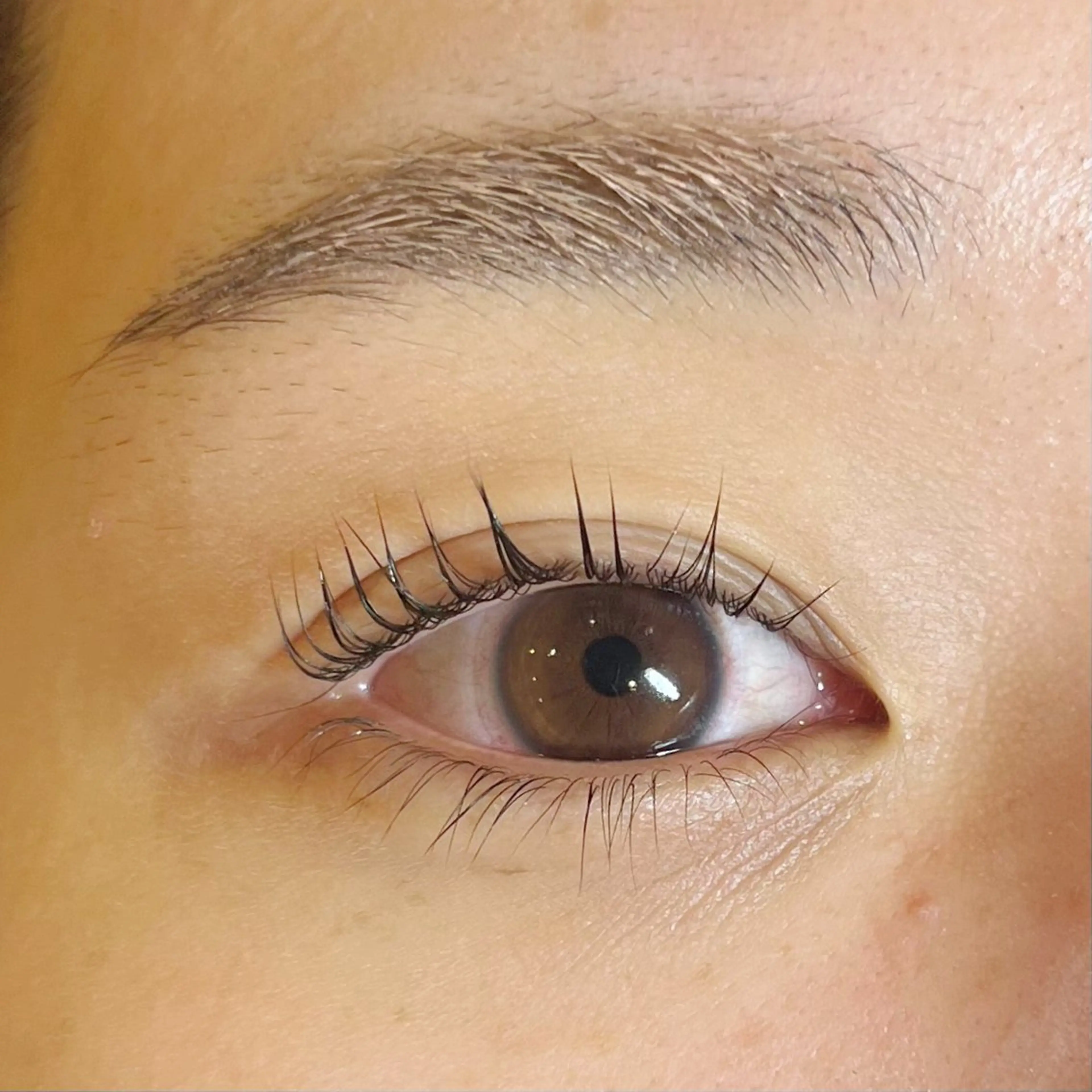 マツエク・マツパ Arona所属・Arona / mizukiの眉毛・アイブロウイメージ