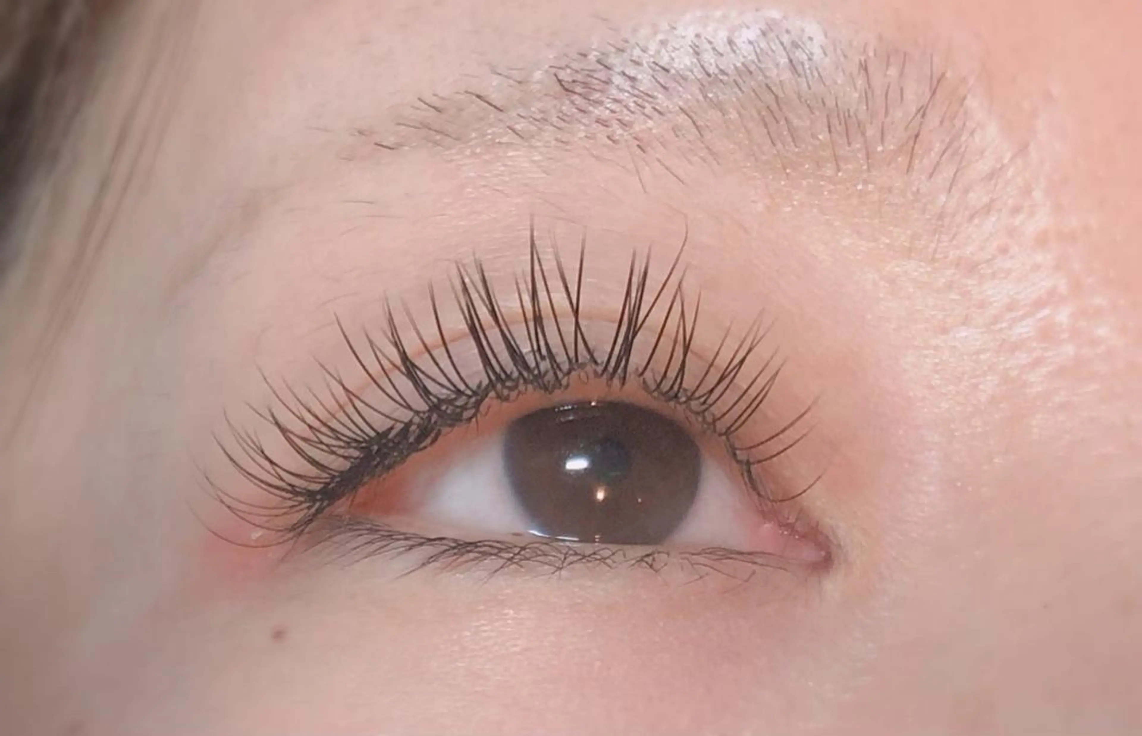 マツエク・マツパ フラットラッシュ Lash hour サイトウのマツエク・マツパデザイン