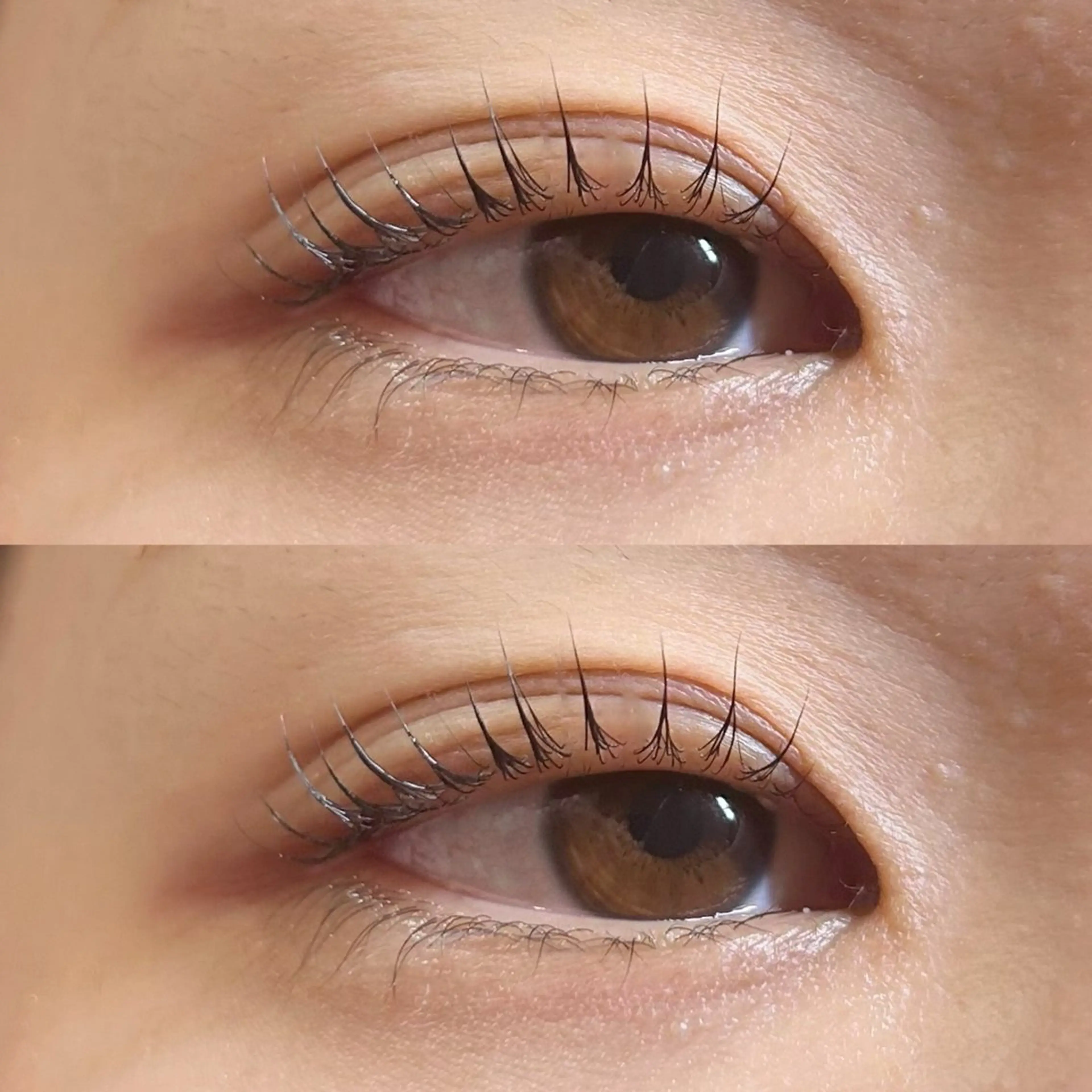 マツエク・マツパ マツパ Rise 🎀のマツエク・マツパデザイン