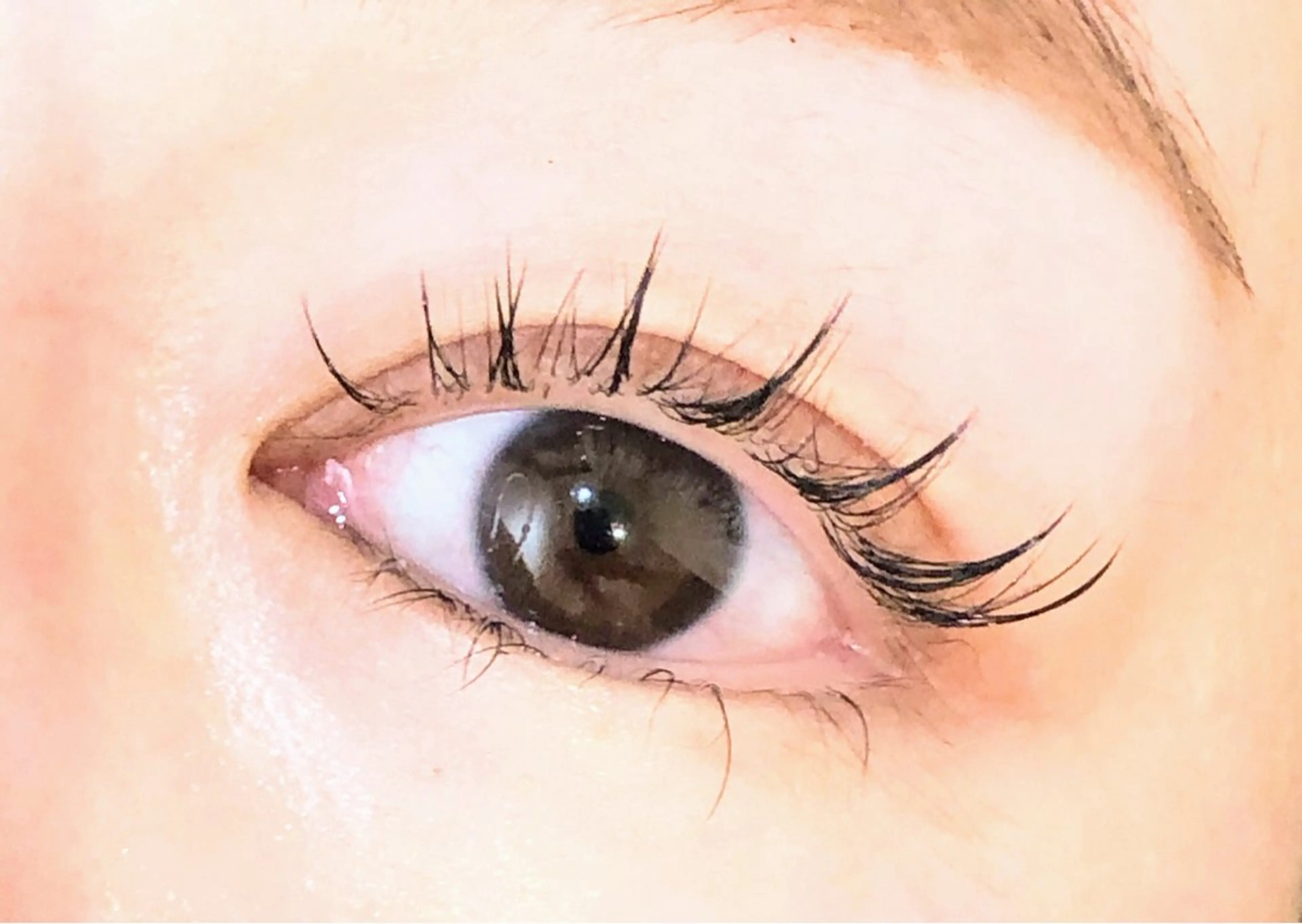 マツエク・マツパ まつげパーマ BELINDA 24のマツエク・マツパデザイン