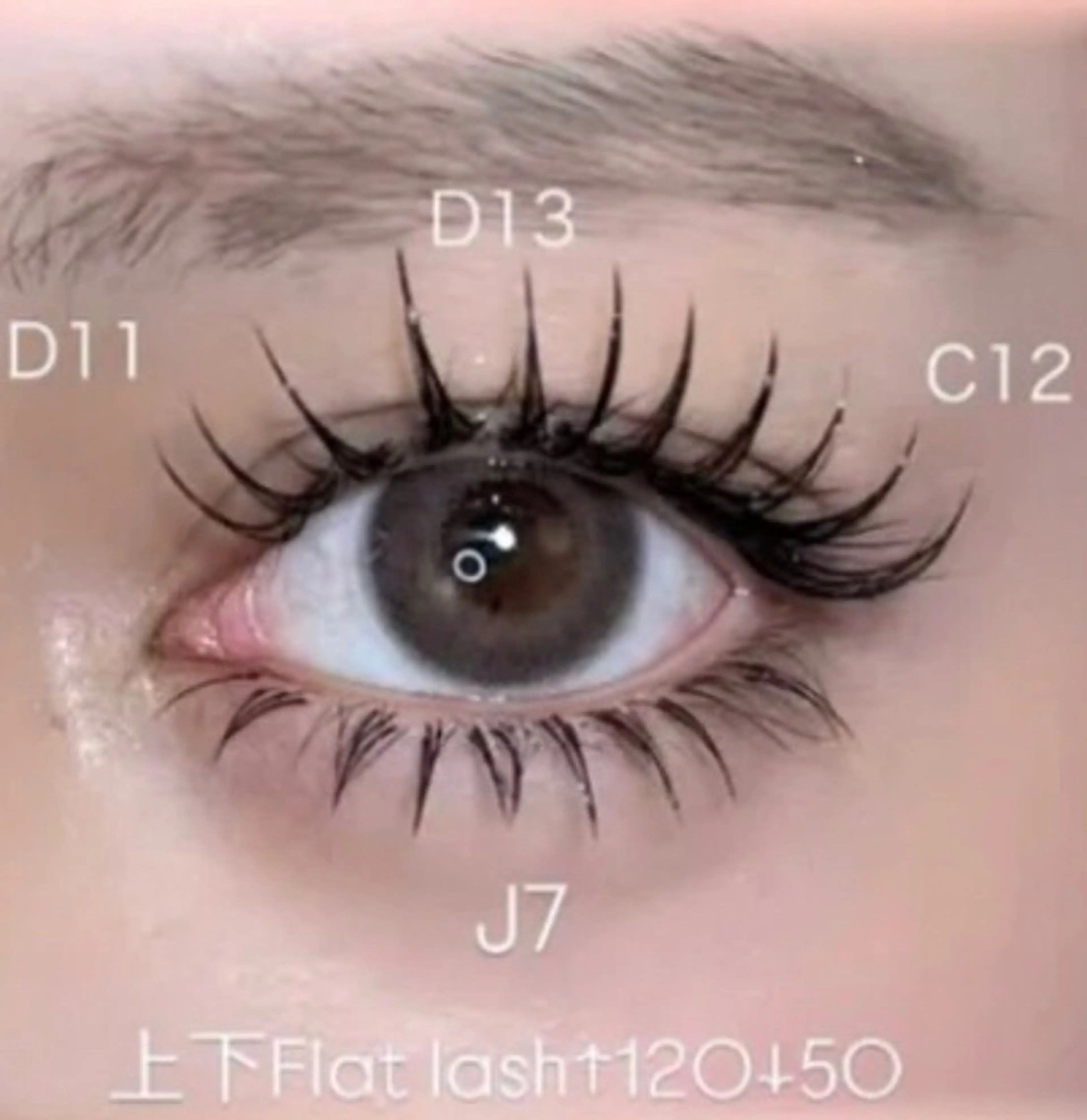 🧚‍♀️ボリュームラッシュ300本¥5000、400本¥6000、550本¥7000、660本¥8000オフ+750の写真