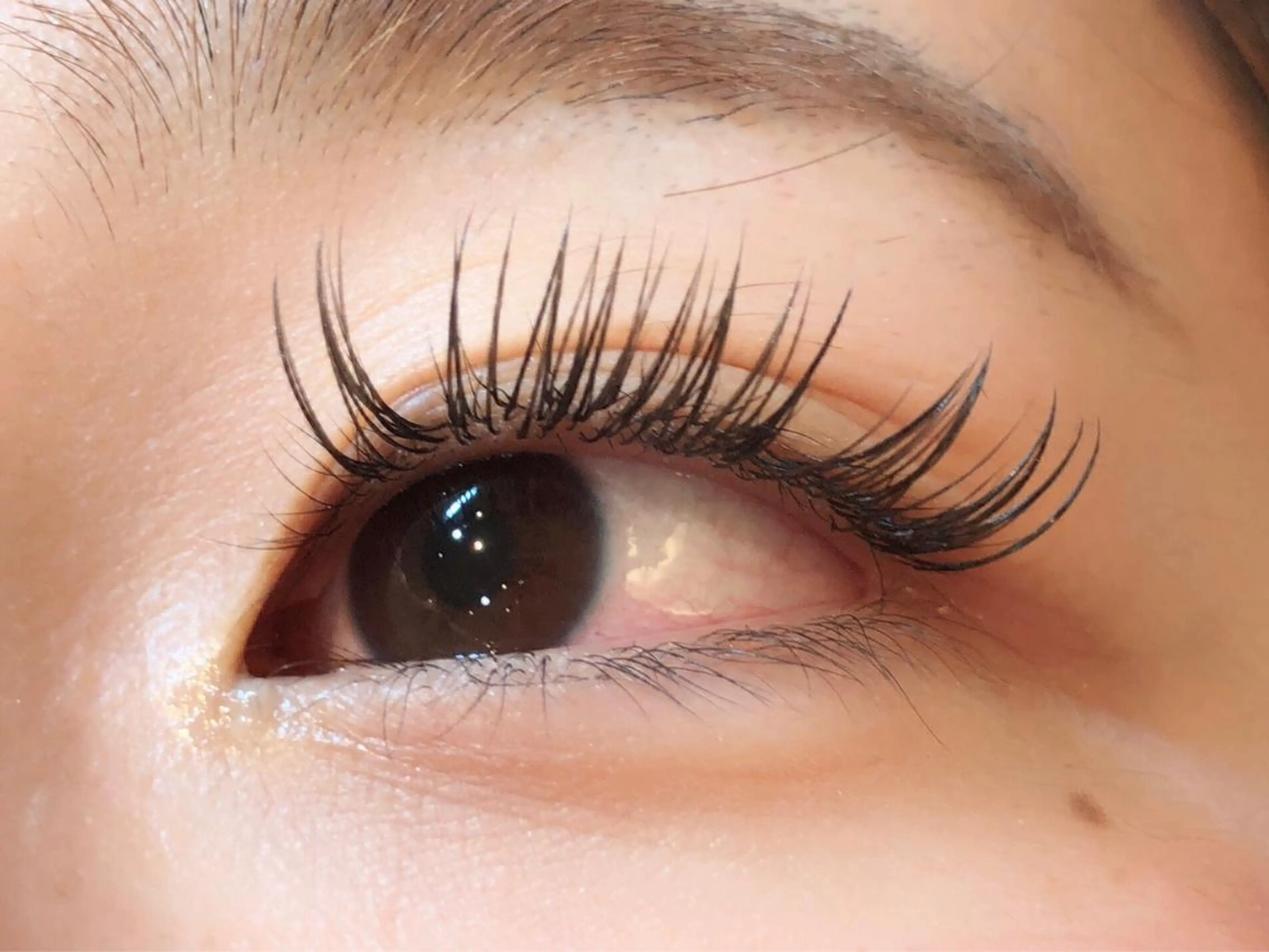 マツエク・マツパ Luana北千住🩵 株木 美果のマツエク・マツパデザイン