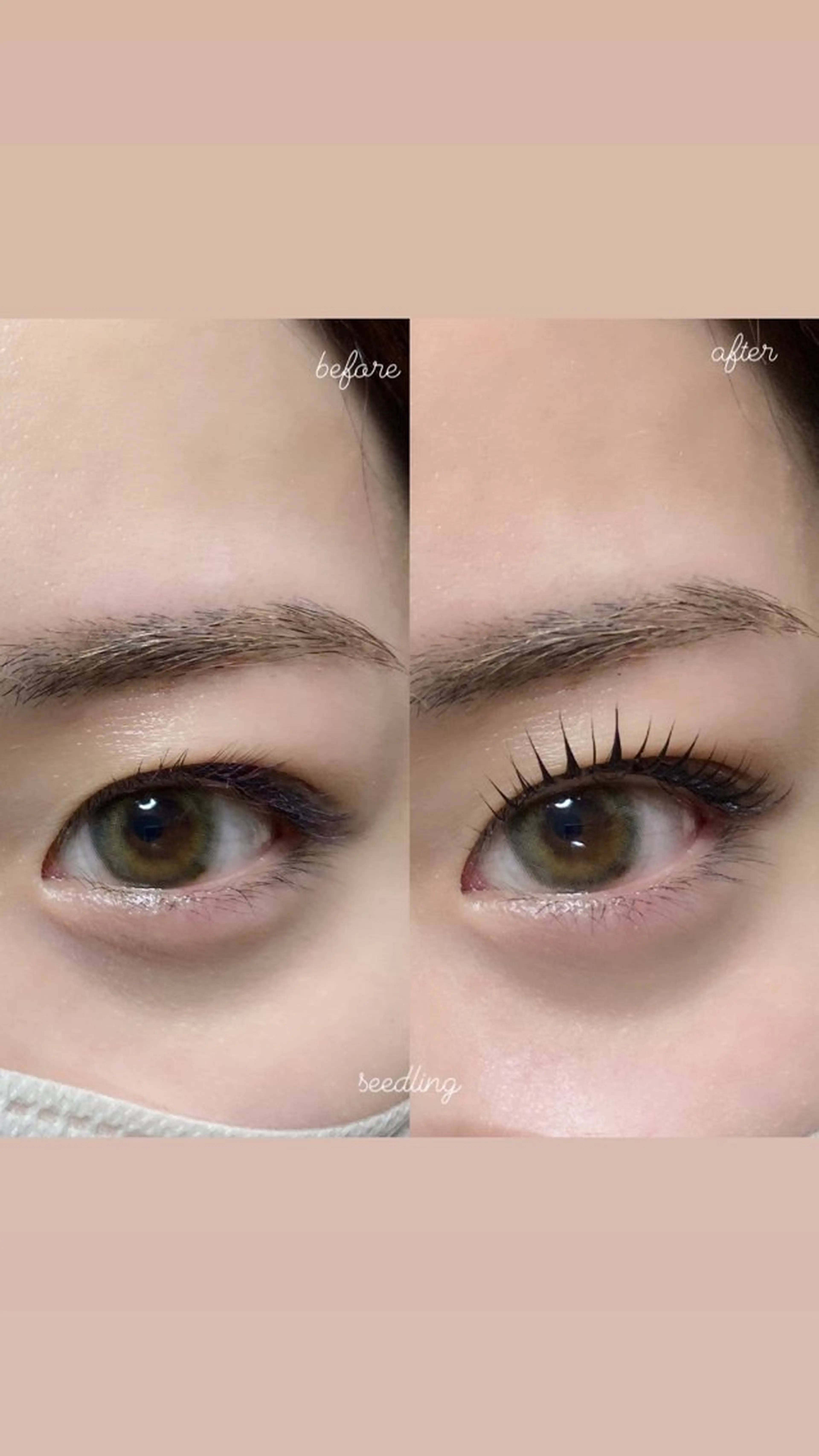 マツエク・マツパ マツパ シードリン 府内店 杉田のマツエク・マツパデザイン