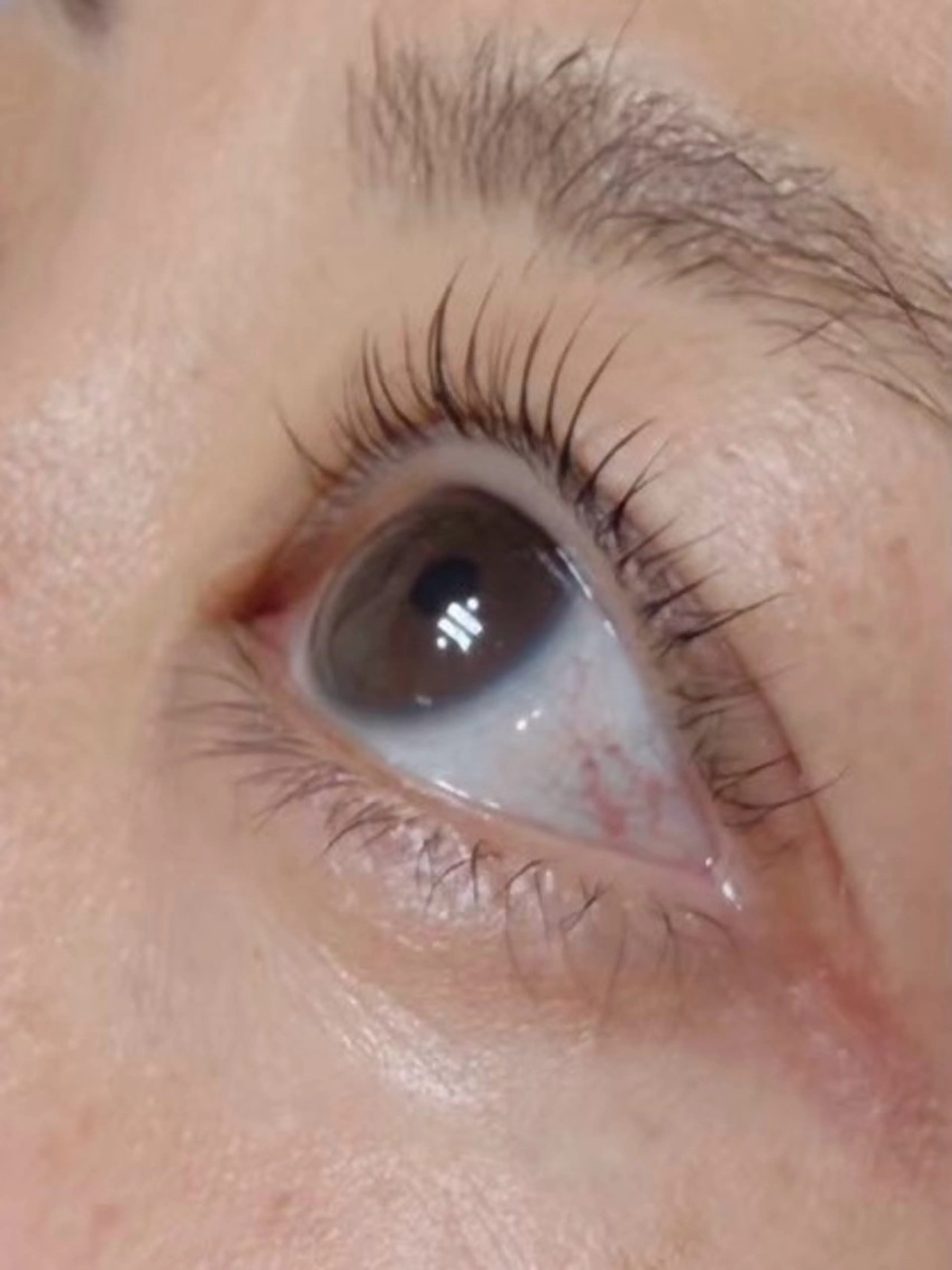 マツエク・マツパ マツパ Momonails Shoのマツエク・マツパデザイン