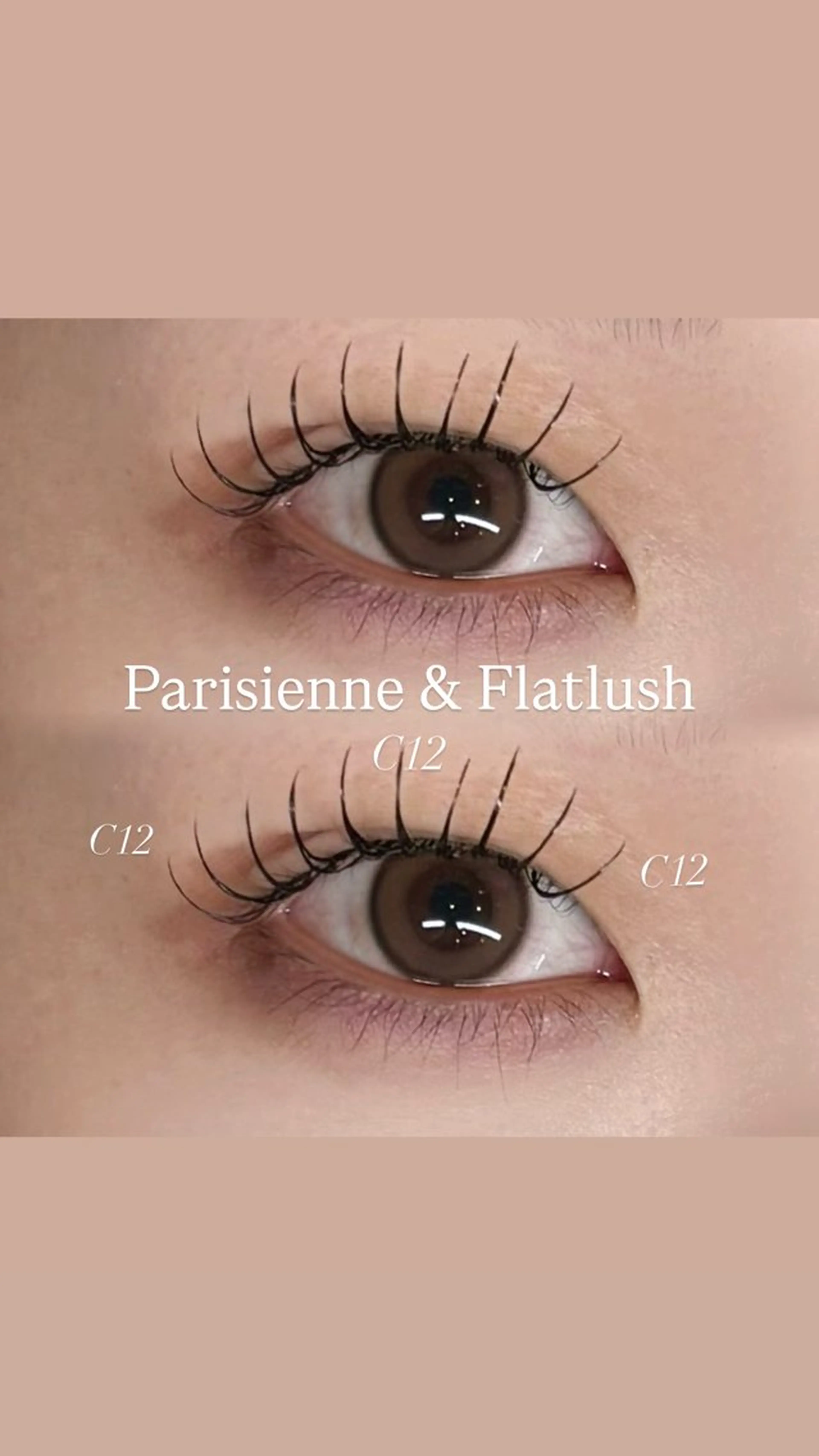 ✨パリジェンヌ×フラットラッシュ100本✨美容液コーティング付き💞の写真
