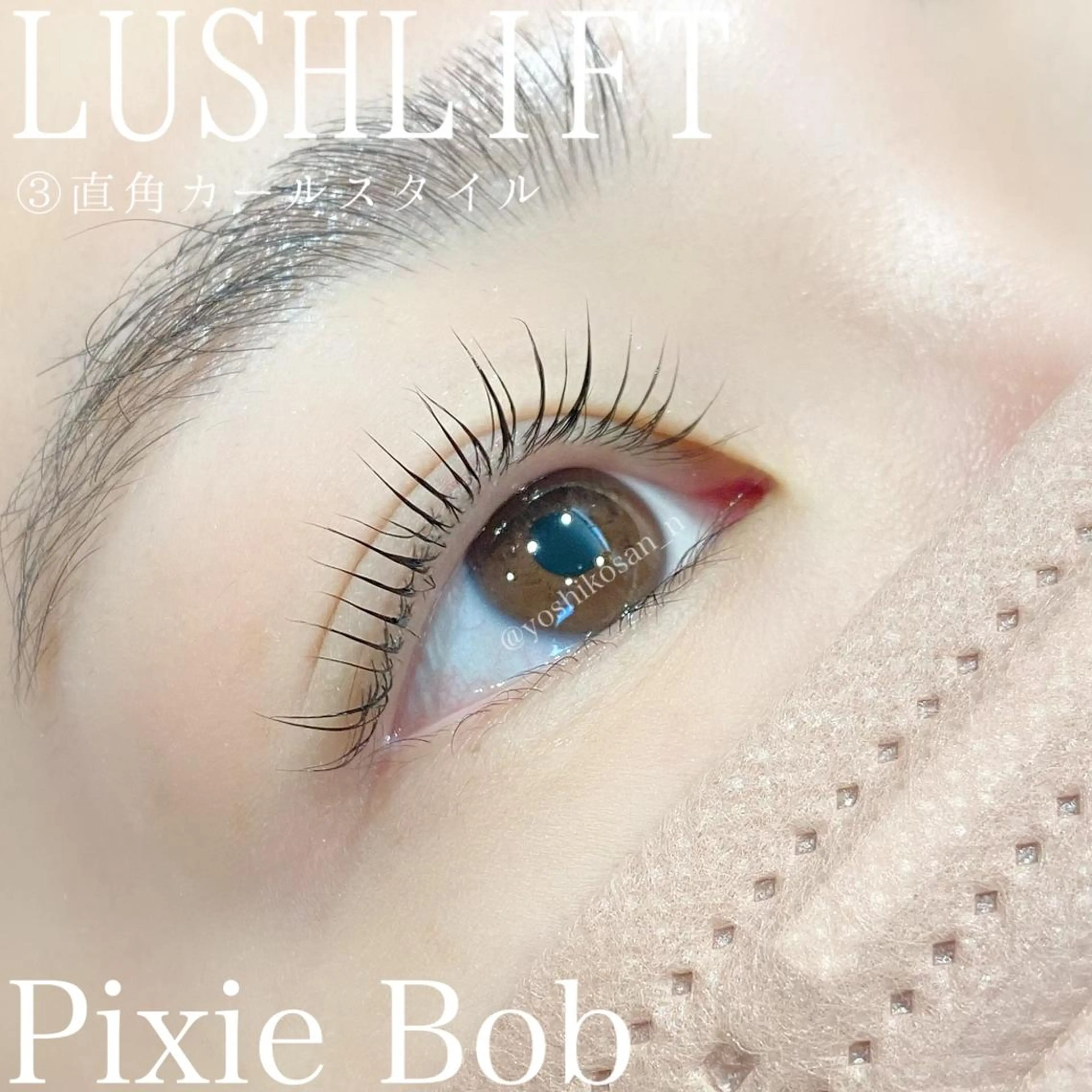 マツエク・マツパ カラーマツエク Pixie Bob 🐈‍⬛　位田のマツエク・マツパデザイン