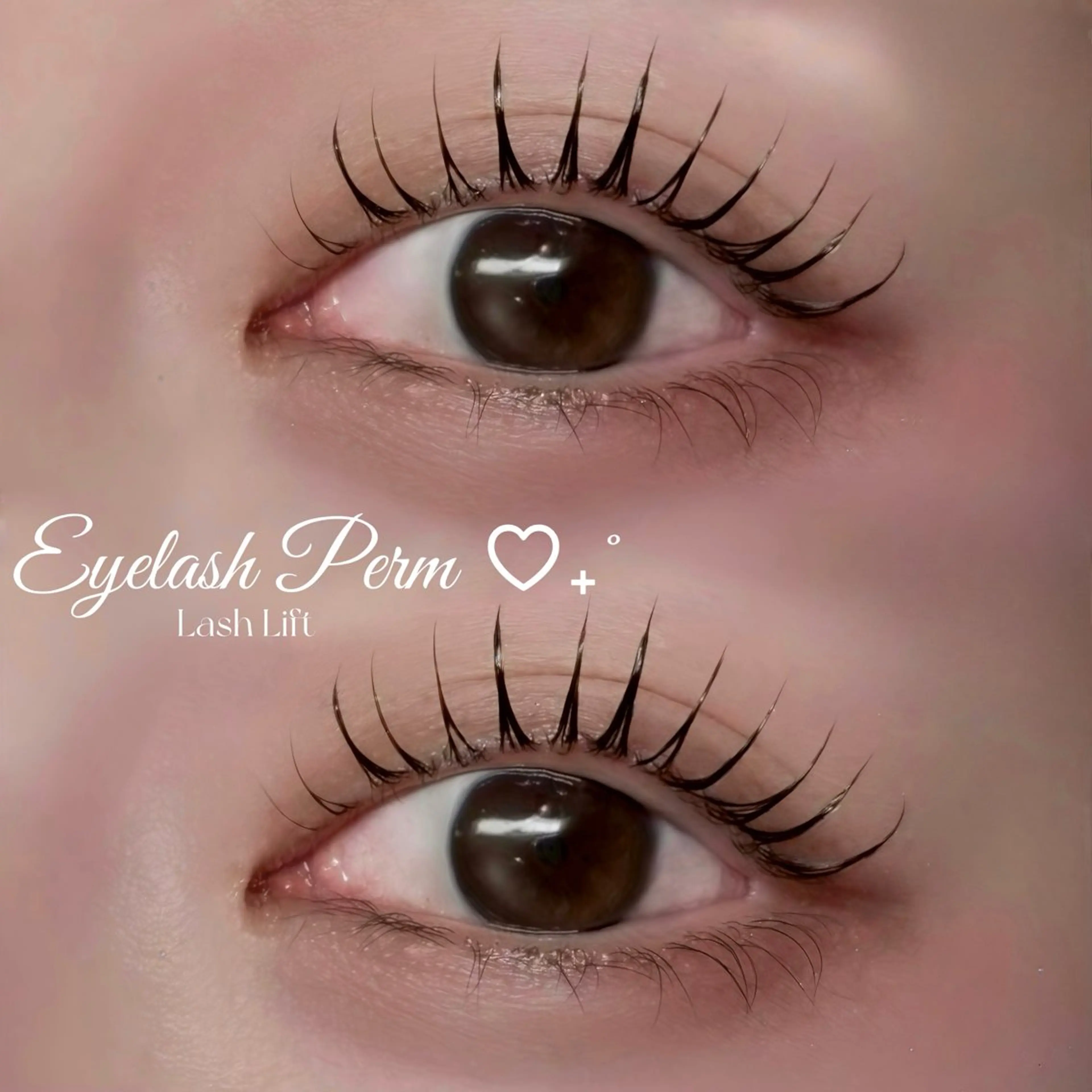 🤎【似合わせラッシュリフト】️🤎目元に合ったカールデザインにご案内🫶✨の写真