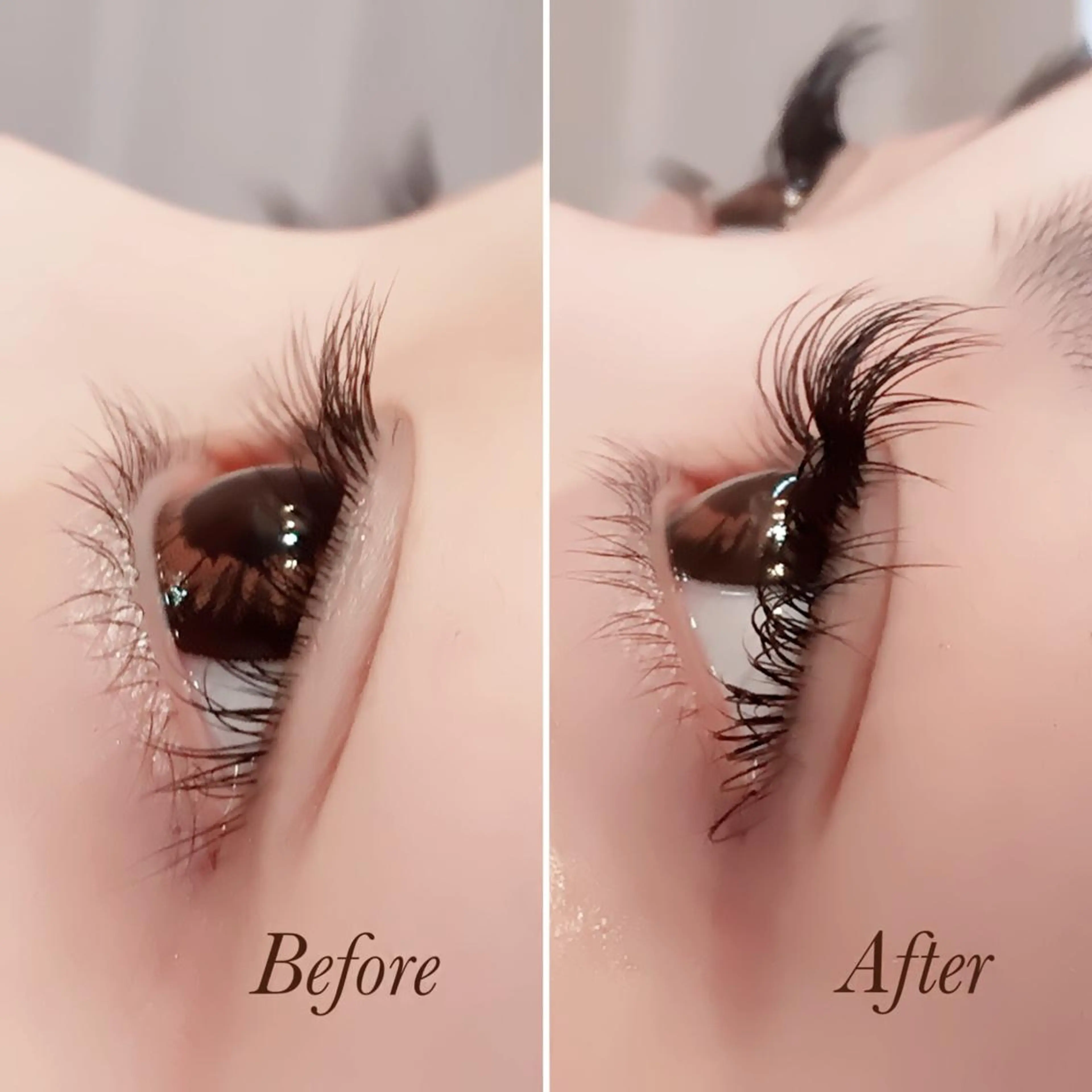 マツエク・マツパ Cカール キュート evolve by TypeAB所属・evolve  by TypeABのマツエク・マツパデザイン