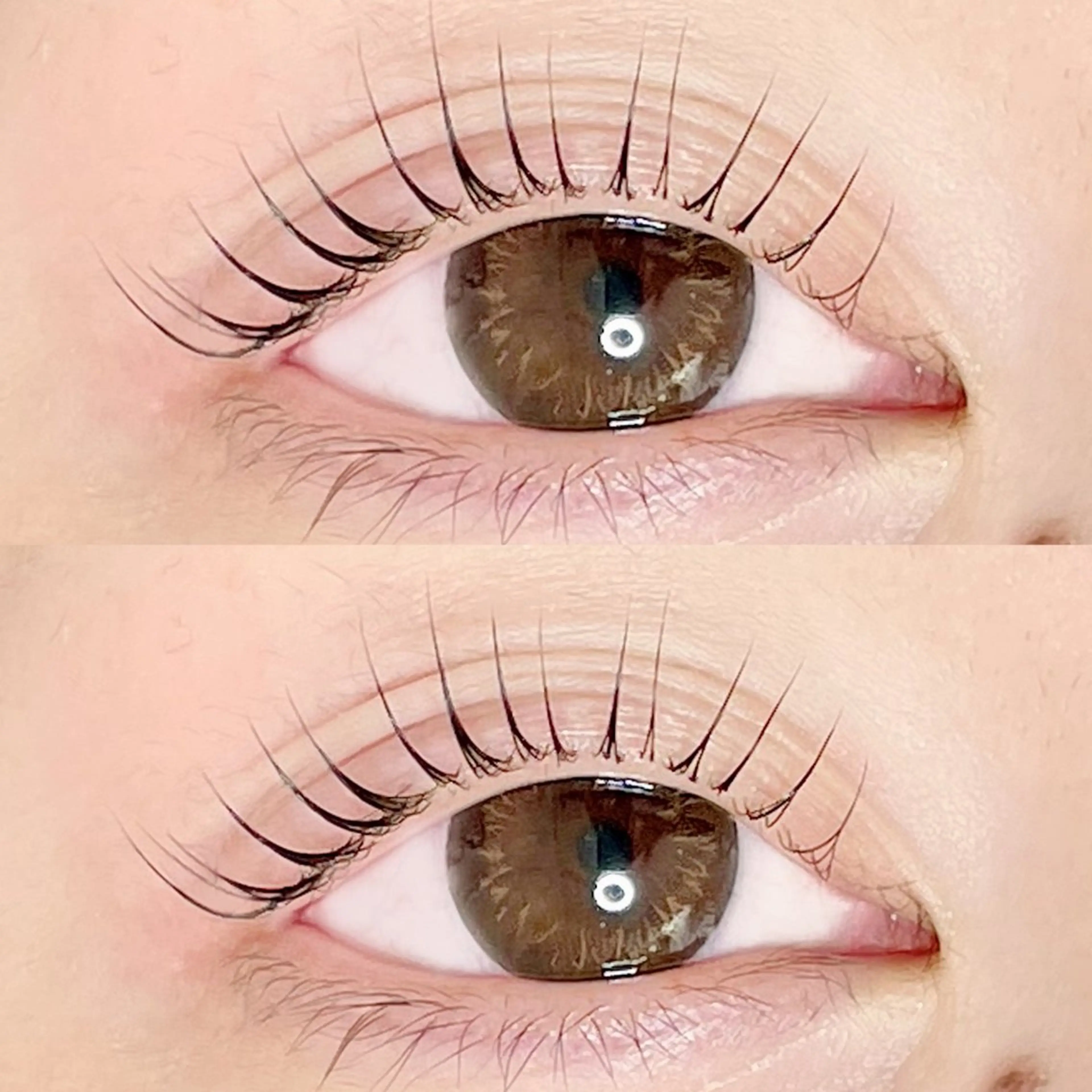 マツエク・マツパ マツパ AYLASH🧡 猪又のマツエク・マツパデザイン