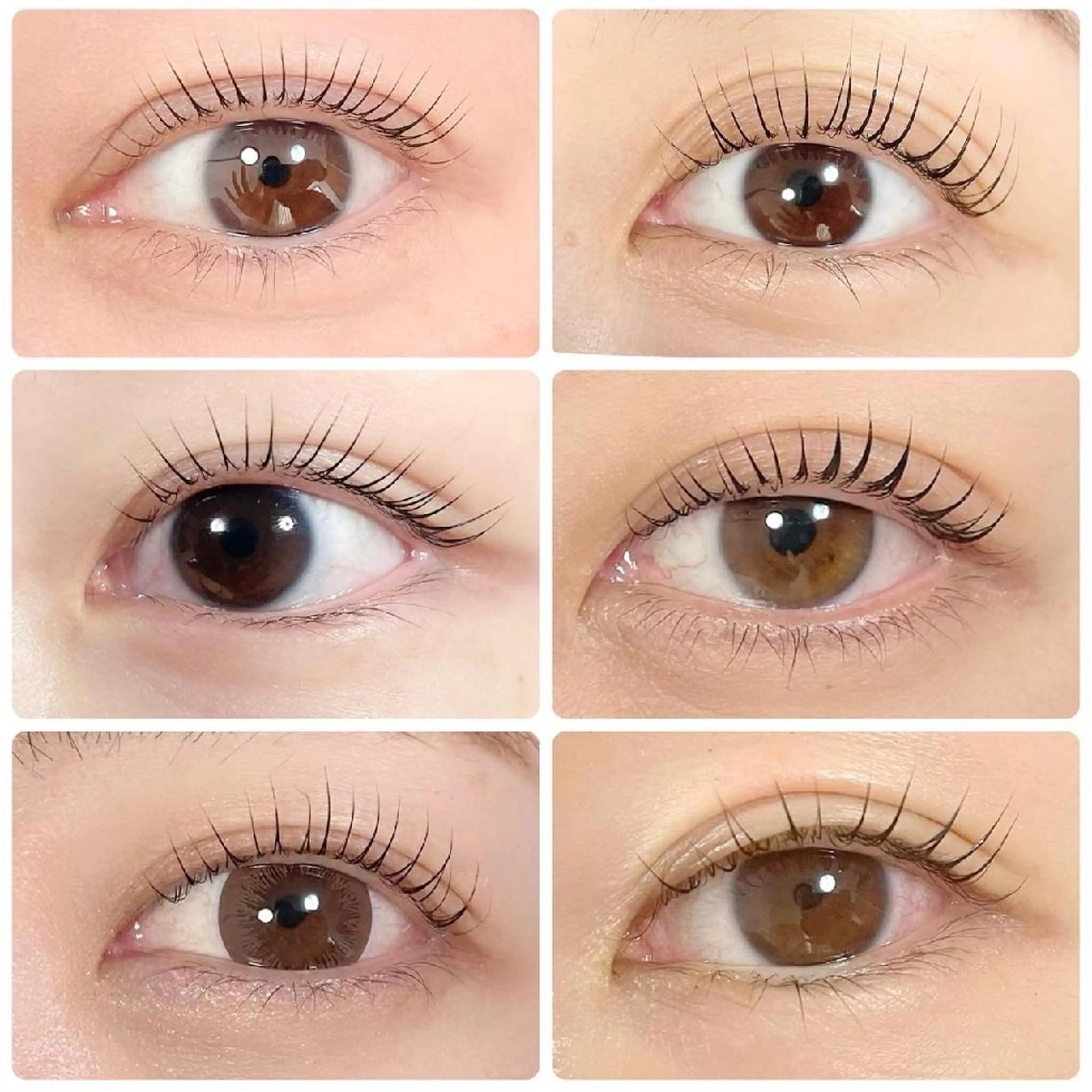 ✨プレミアムケア✨パリジェンヌラッシュリフト/アイシャンプー&高濃度トリートメント付※オフあり+1500の写真