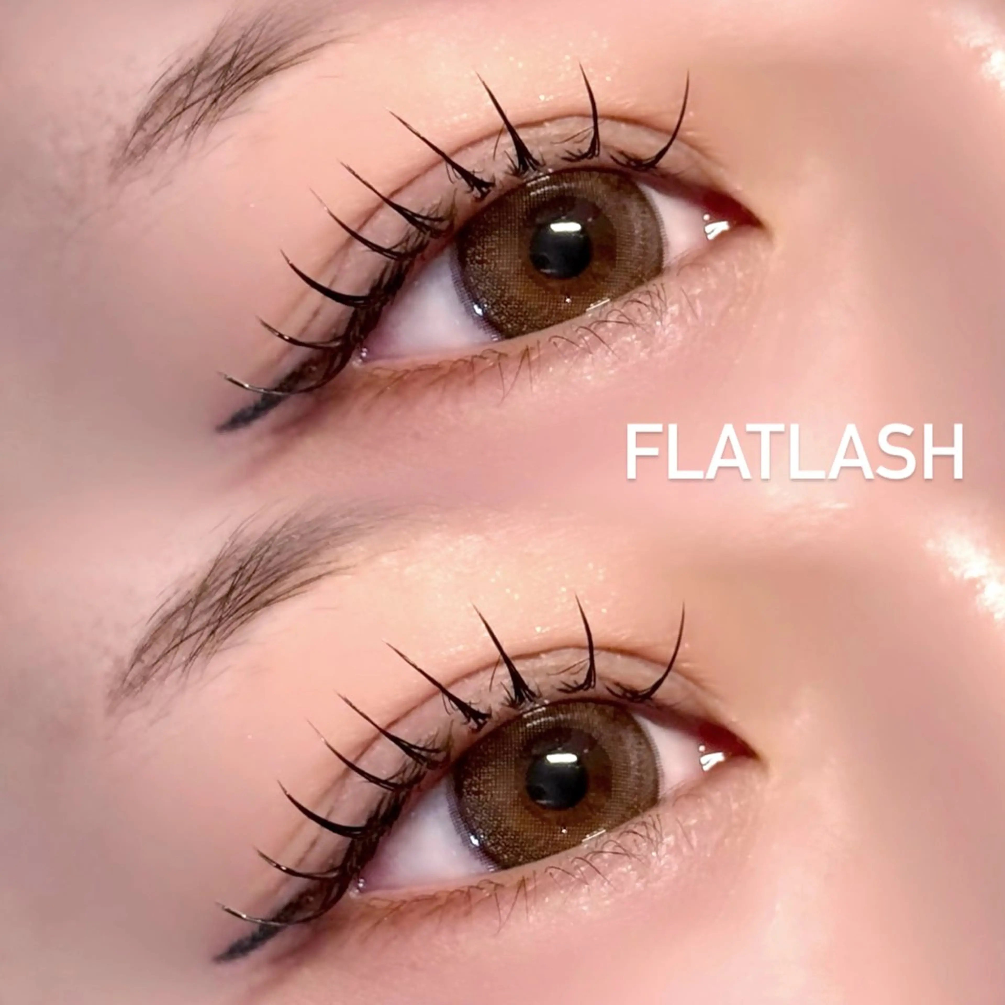 【💎ミニモ限定💎】初めての方にも🔰《オフ&コーティング込》フラットラッシュ100本の写真