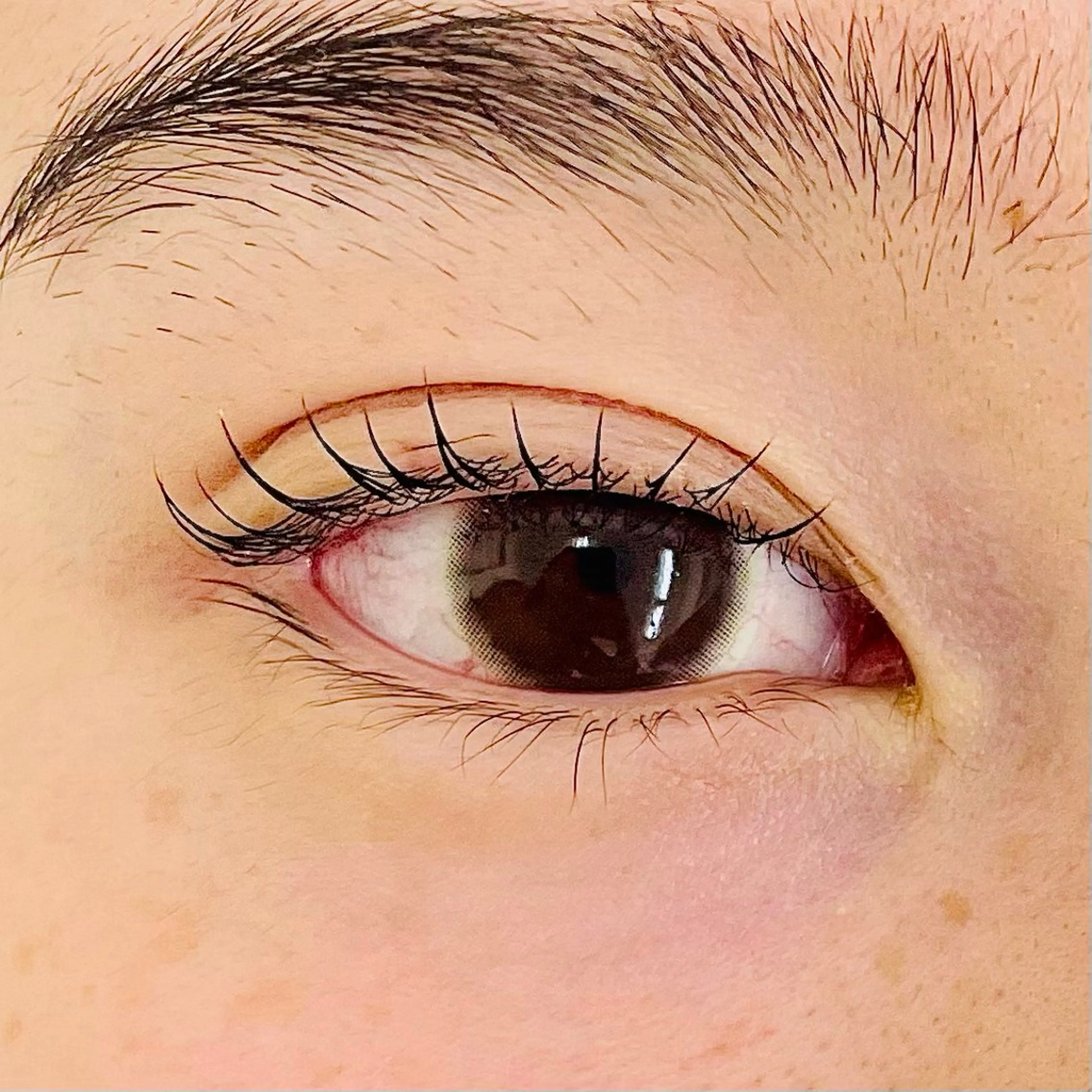 マツエク・マツパ 表参道/まつ毛パーマ 🌷🕊️SAORIのマツエク・マツパデザイン