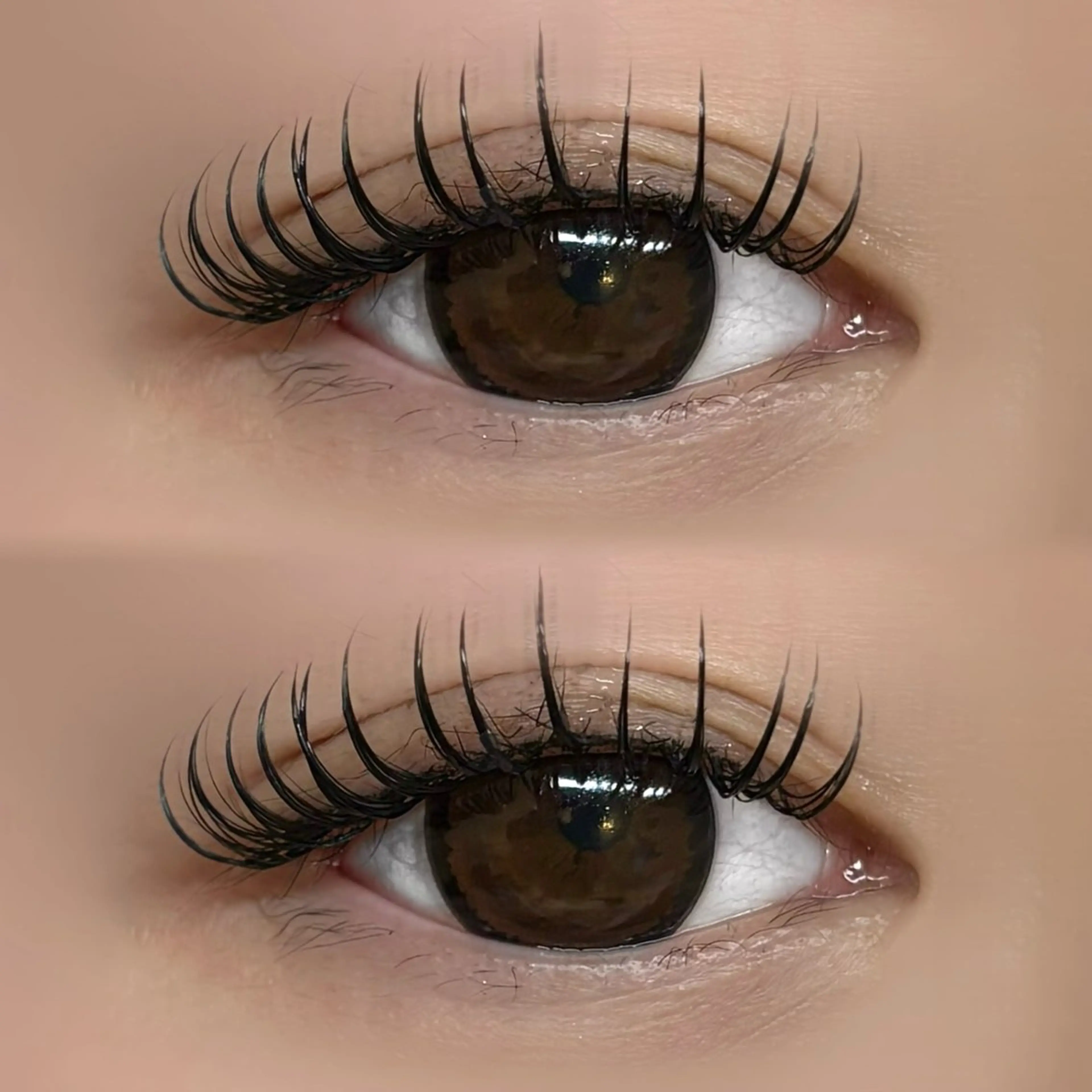 マツエク・マツパ マツエク Lio. 亜衣のマツエク・マツパデザイン