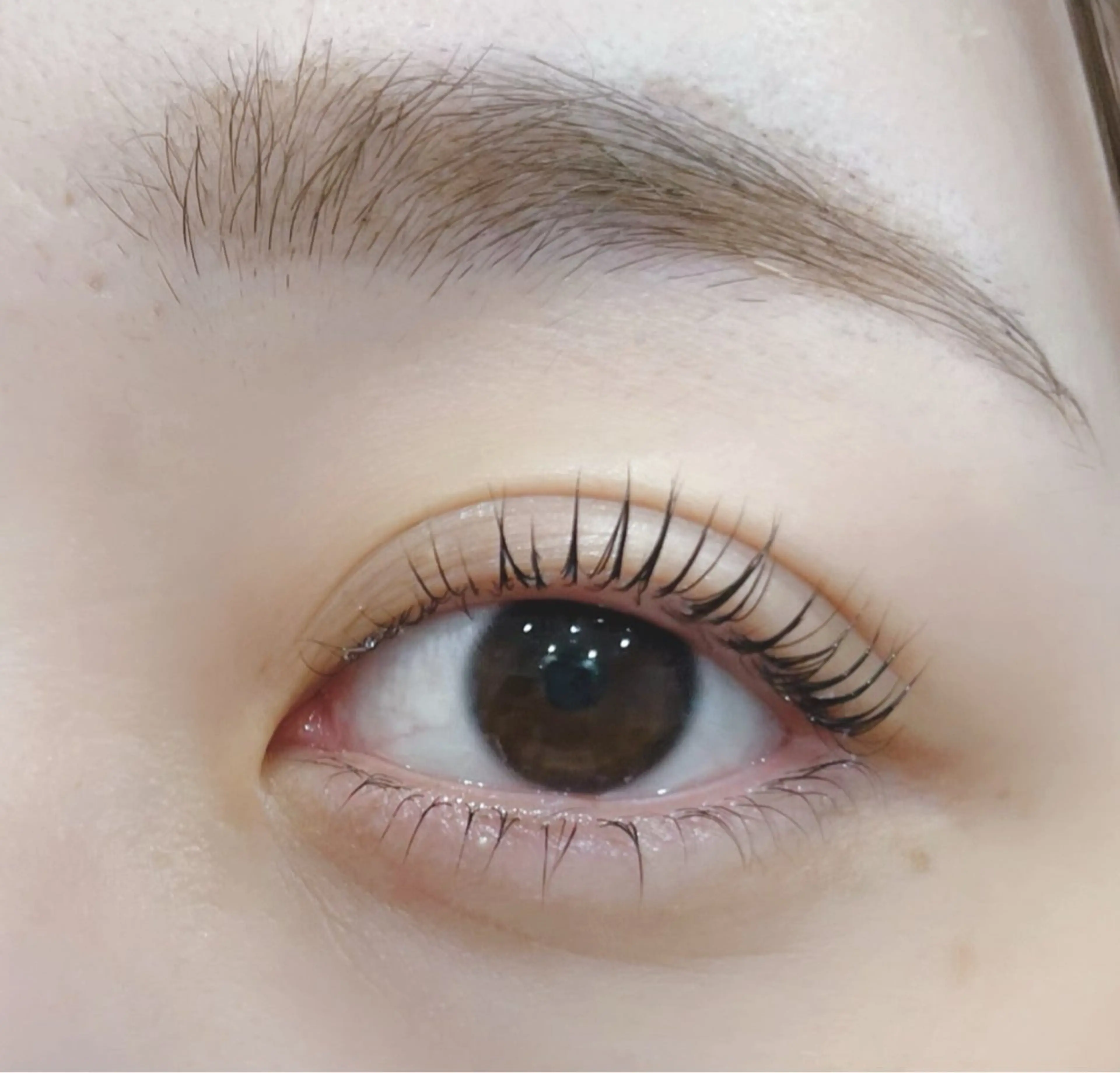 マツエク・マツパ IIJIMA /まつパ/パリ/束感のマツエク・マツパデザイン