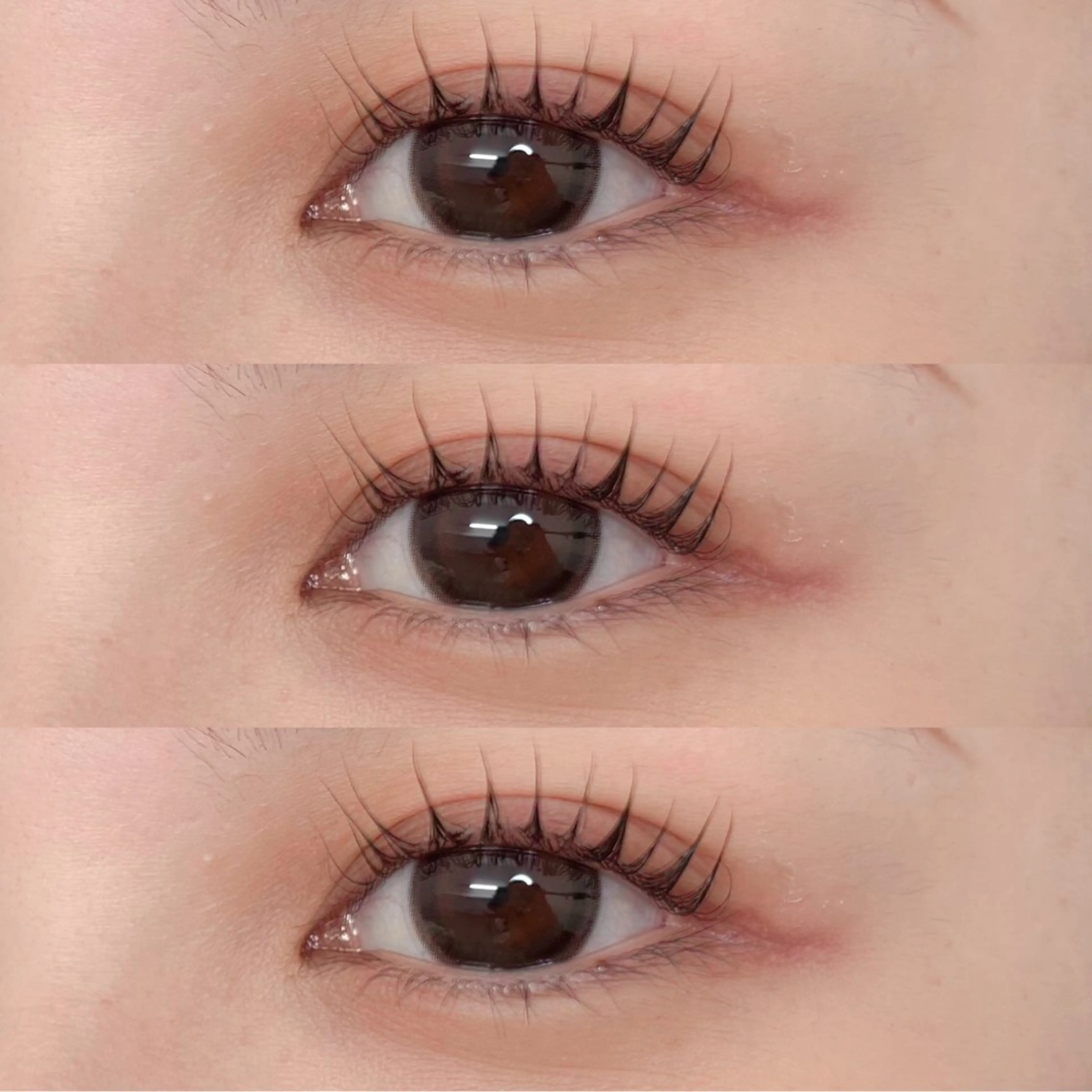 【ミニモ限定新生活応援クーポン】まつげパーマ×コーティング付きの写真