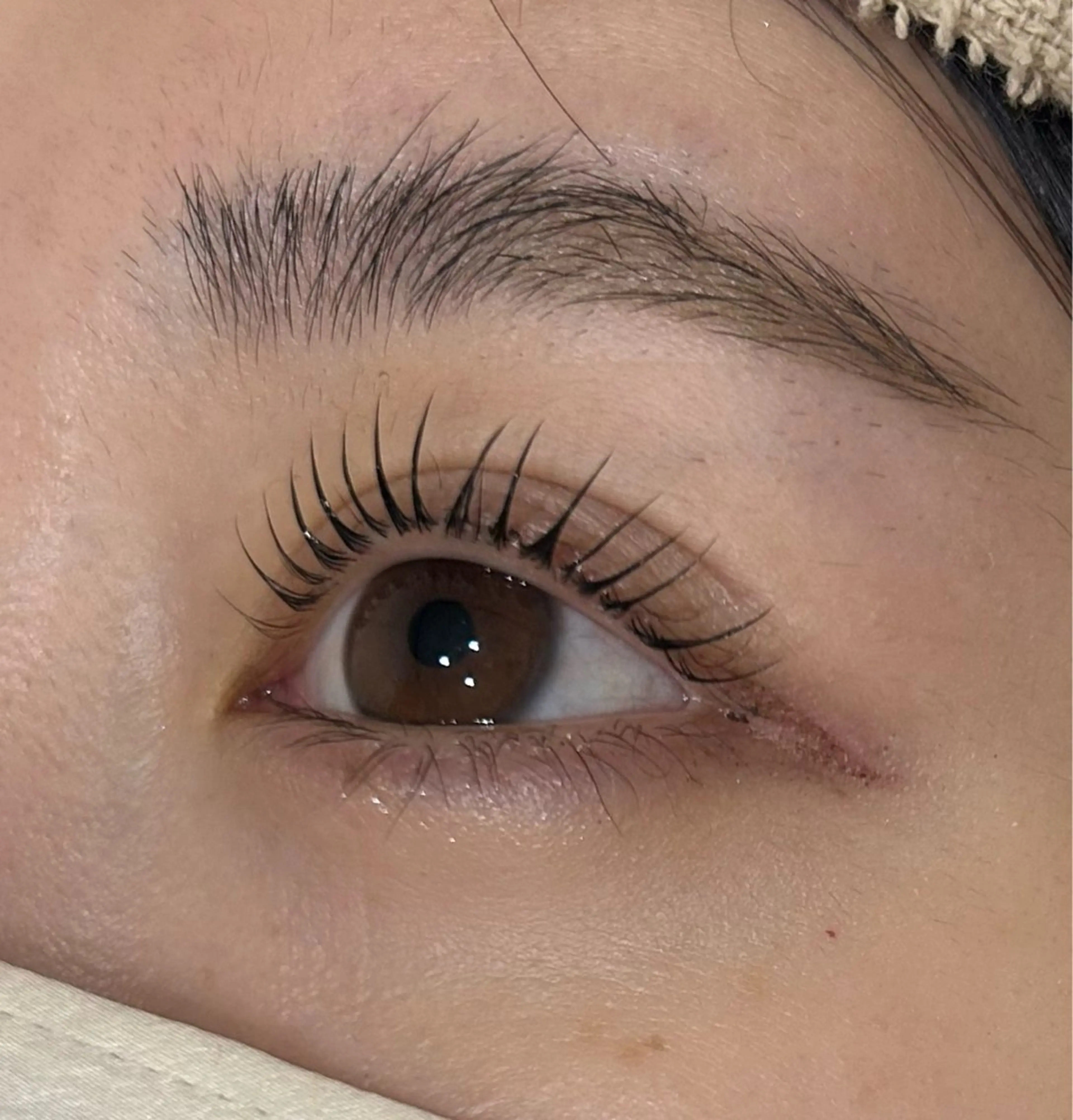 マツエク・マツパ マリーテレジア🌻 IMOTOのマツエク・マツパデザイン