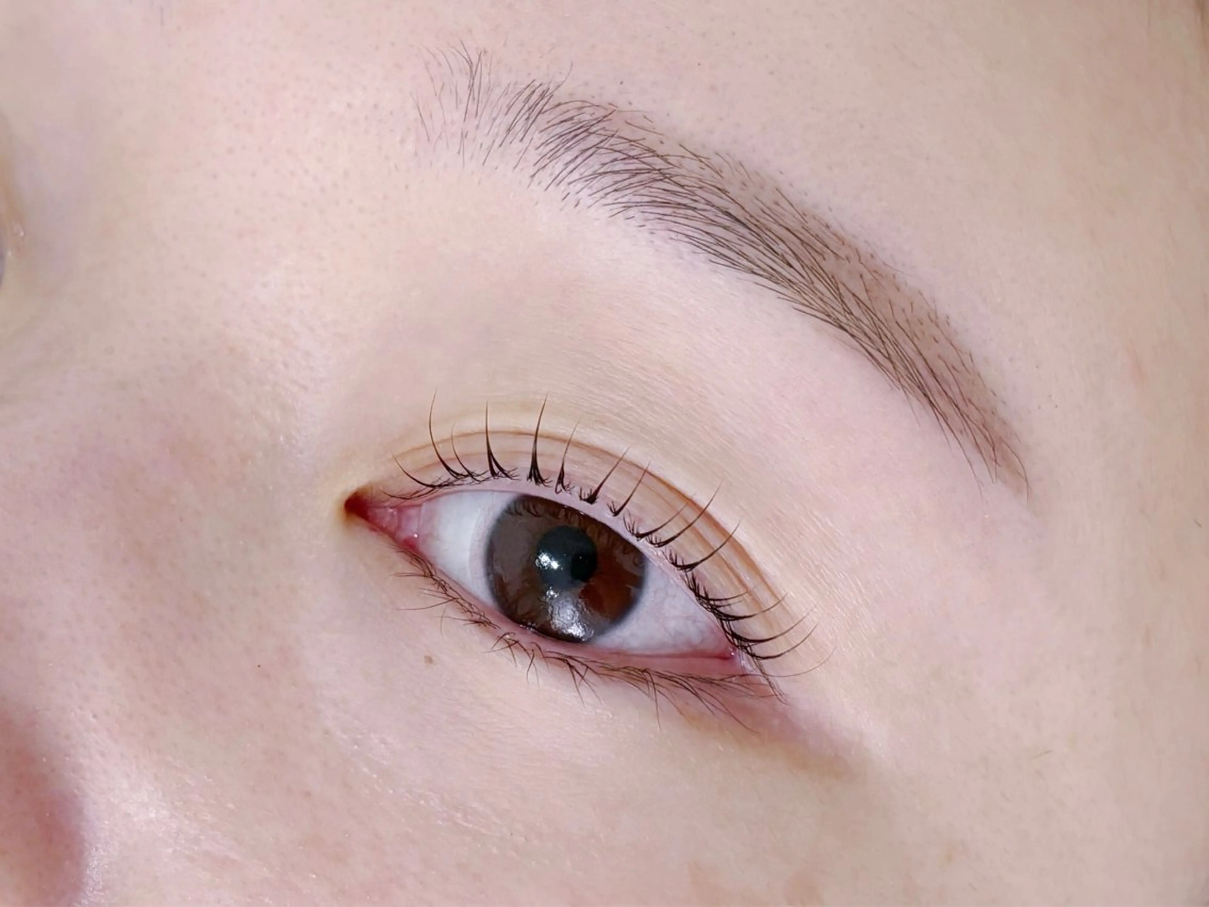 アイブロウワックス(間引き込み)の写真