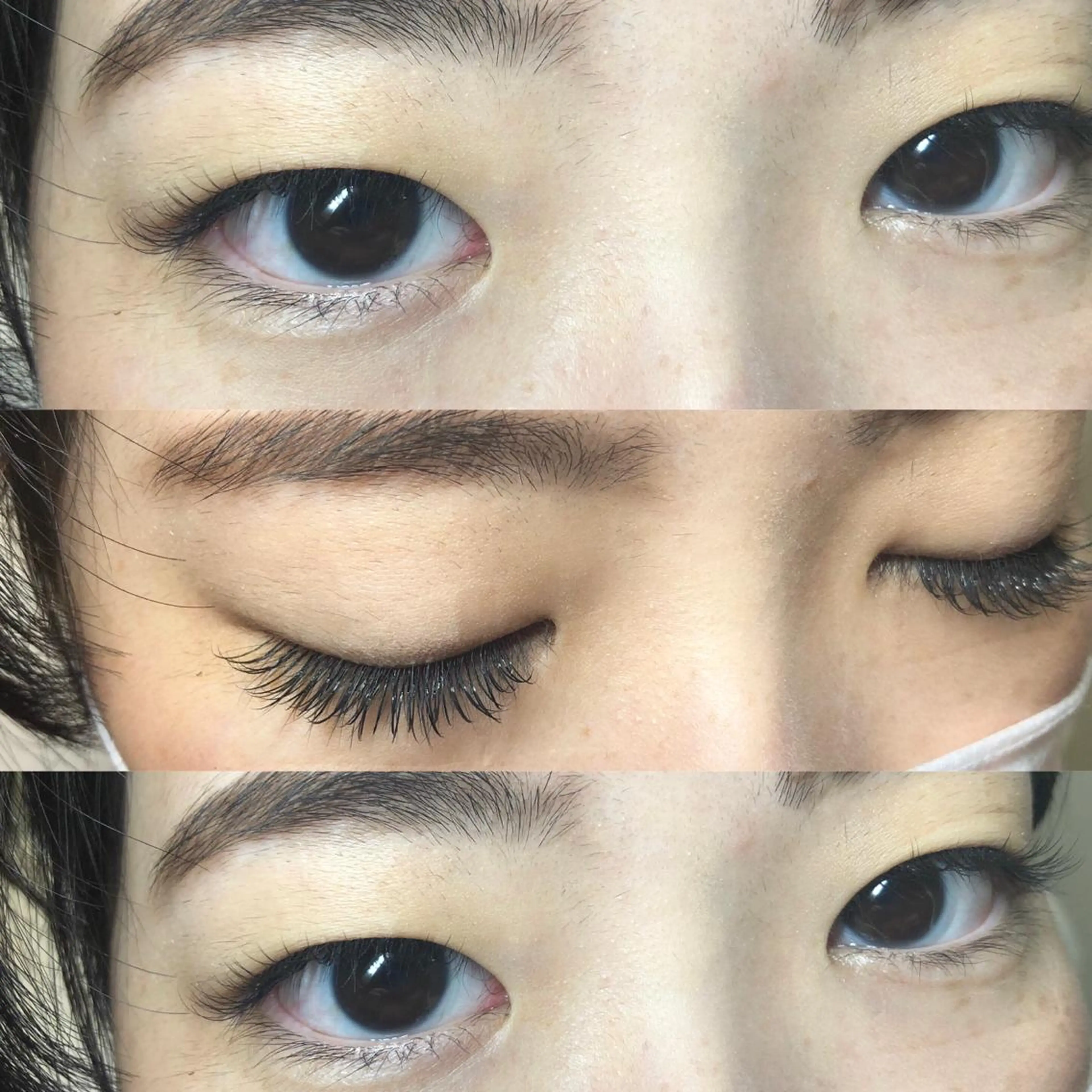 マツエク・マツパ カラーマツエク フラットラッシュ Roco'Lush 🤍Miyake🤍のマツエク・マツパデザイン