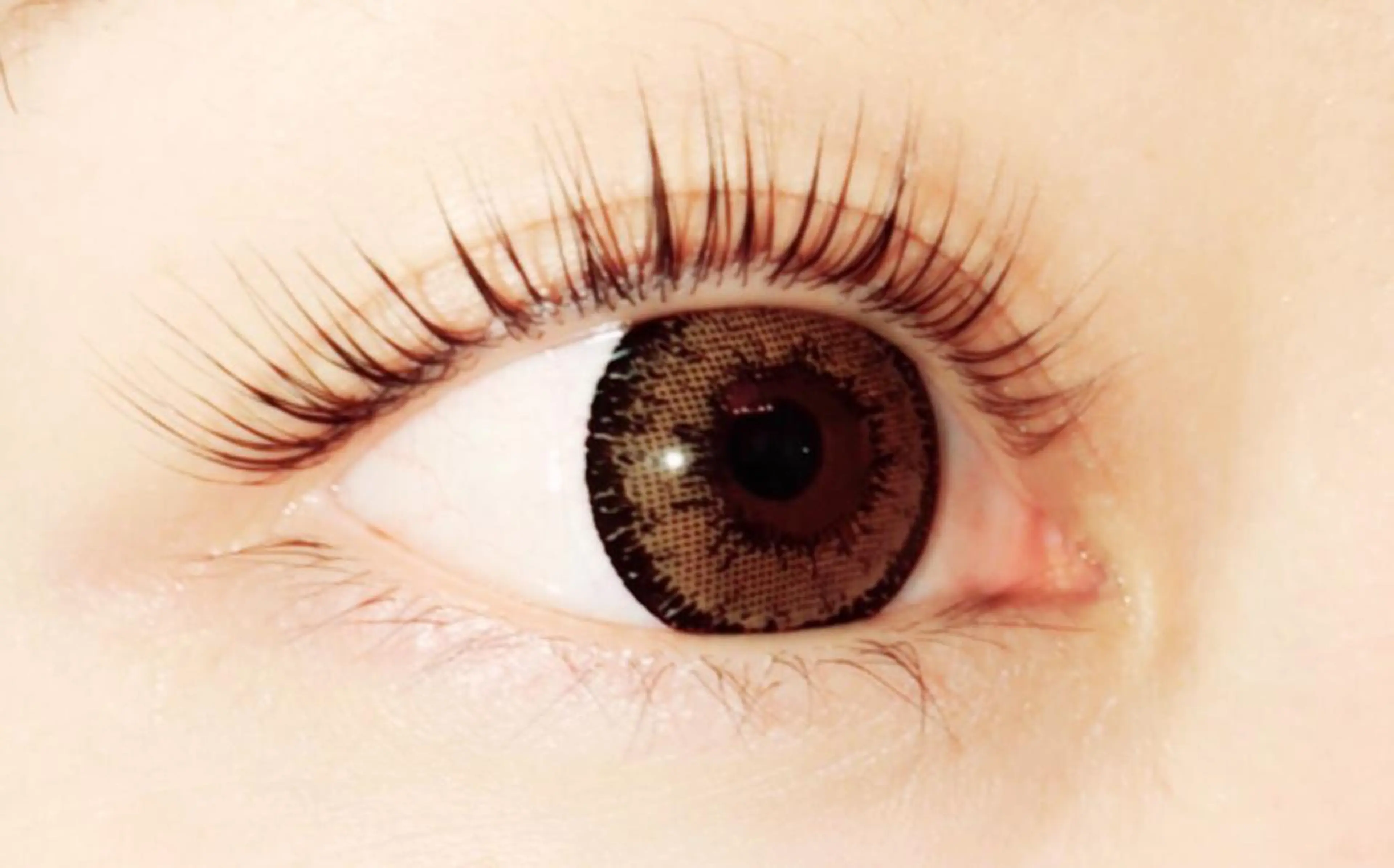 マツエク・マツパ 筒井 咲梨絵のマツエク・マツパデザイン