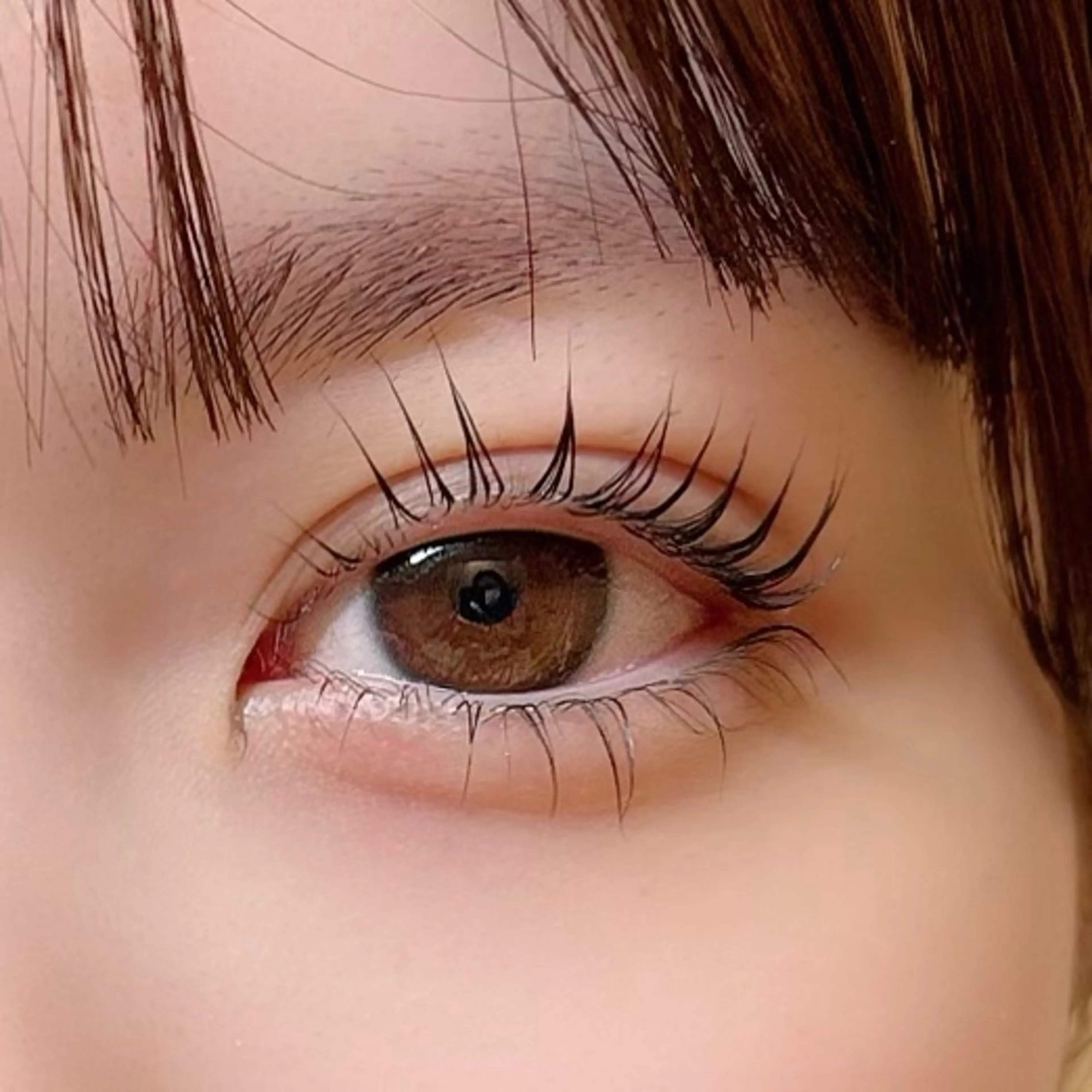 🌷ご新規様🌷【目力UP・根本から立ち上げ】上下パリジェンヌ🤍の写真