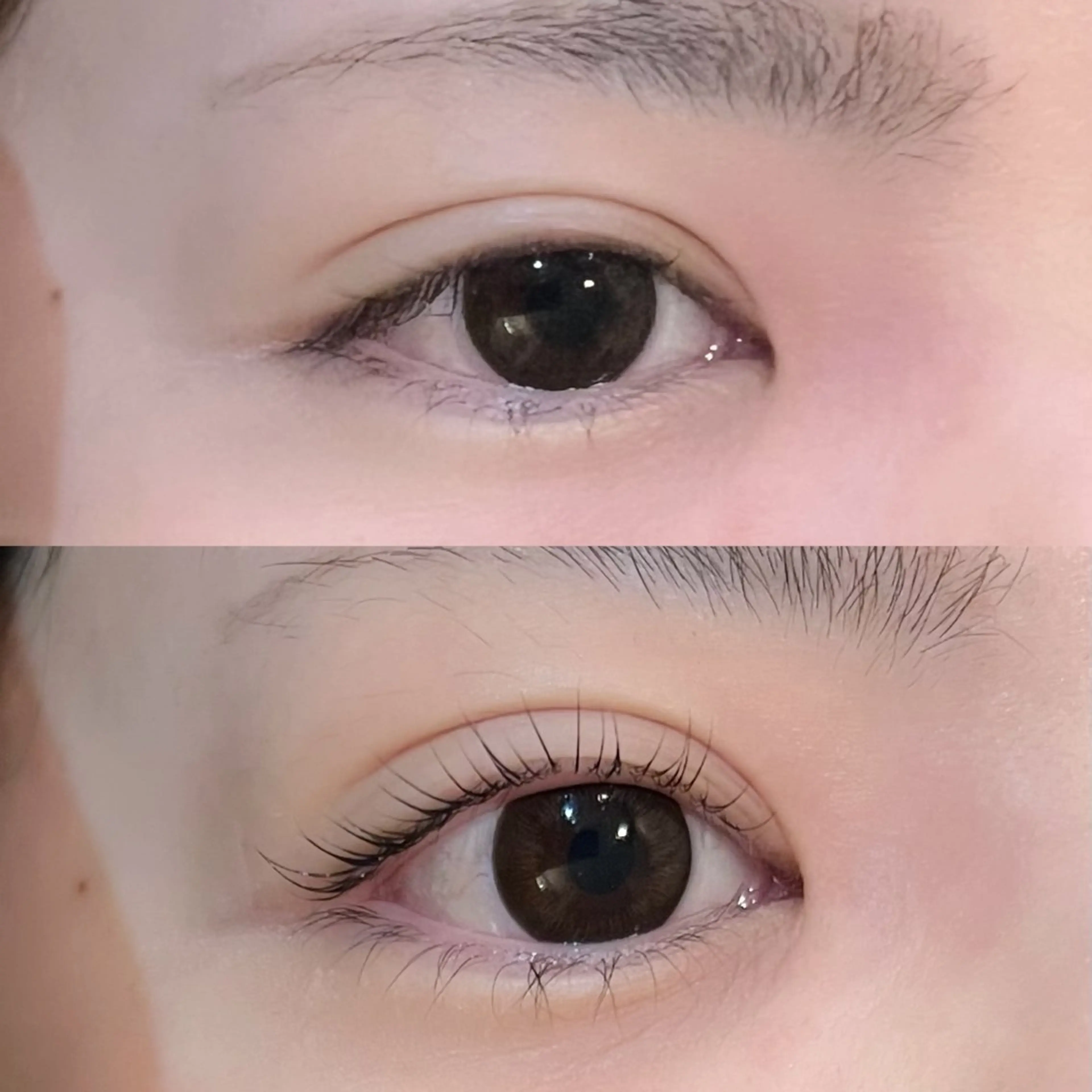 マツエク・マツパ マツパ MOND🪄 Ayanaのマツエク・マツパデザイン