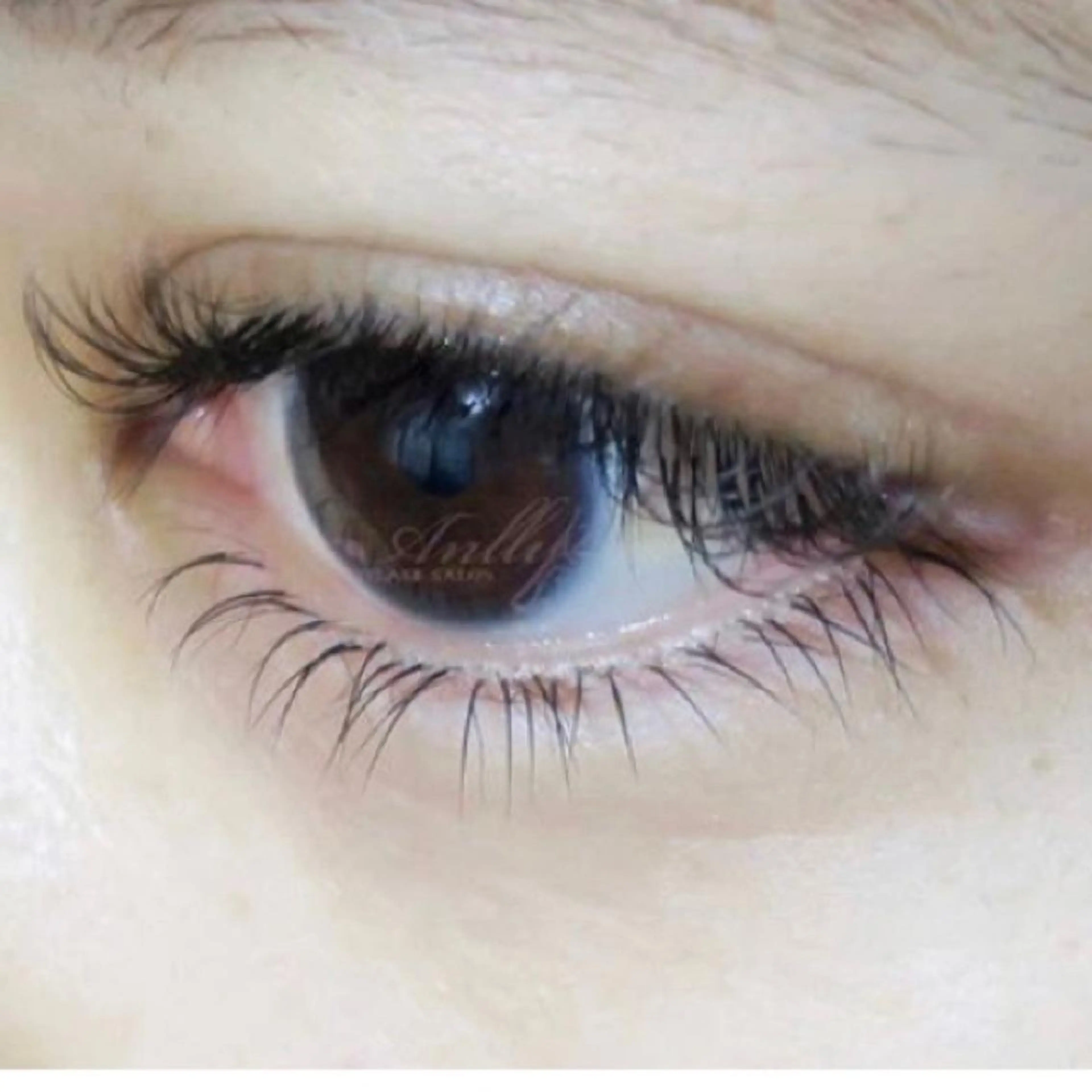 マツエク・マツパ 下まつげエクステ 前田 宏のマツエク・マツパデザイン