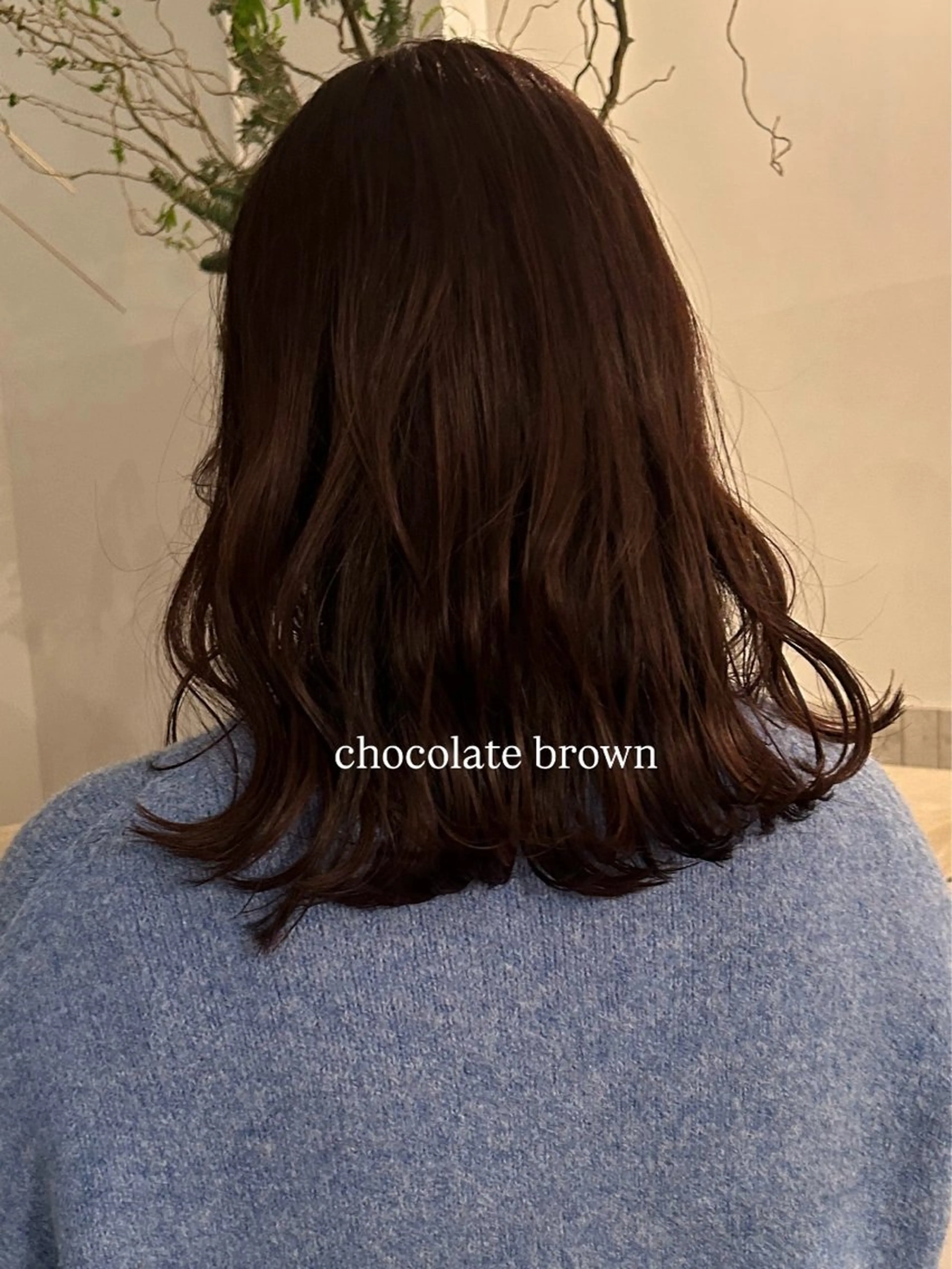 セミロング カット ヘアカラー Terve. 水野 菜々香のヘアスタイル