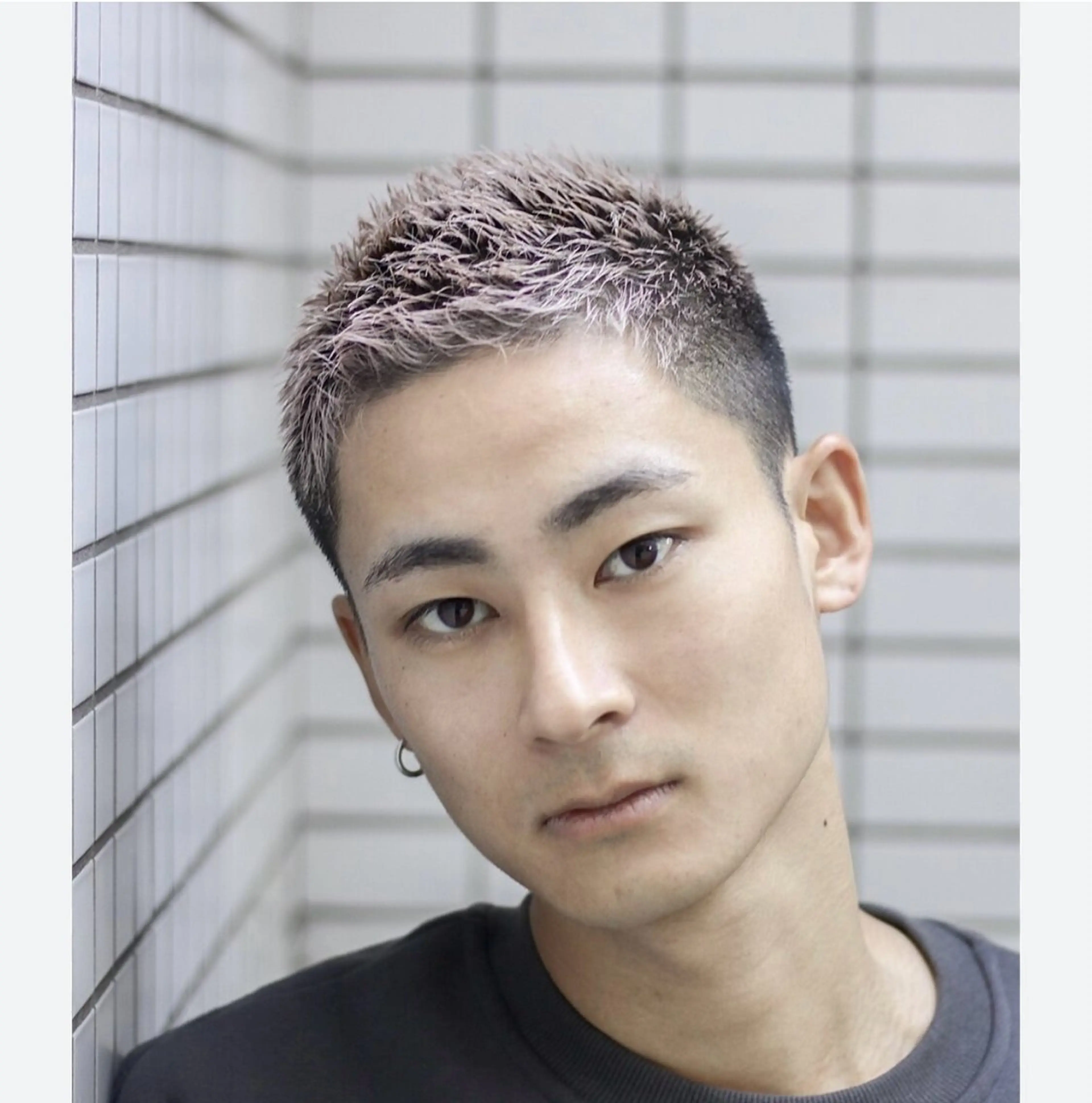 ソフモヒカットの写真