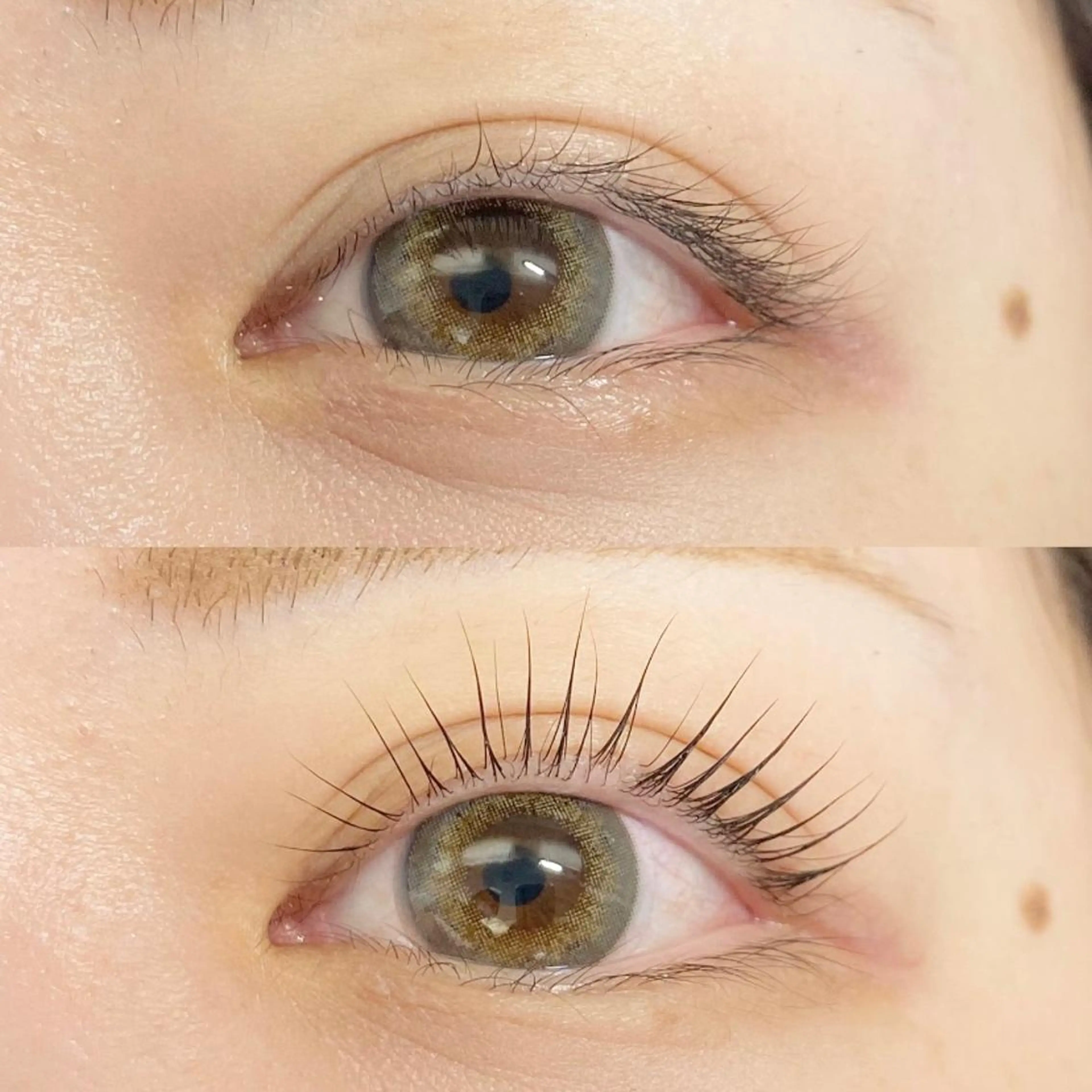 マツエク・マツパ or LATTe 仙台店のマツエク・マツパデザイン