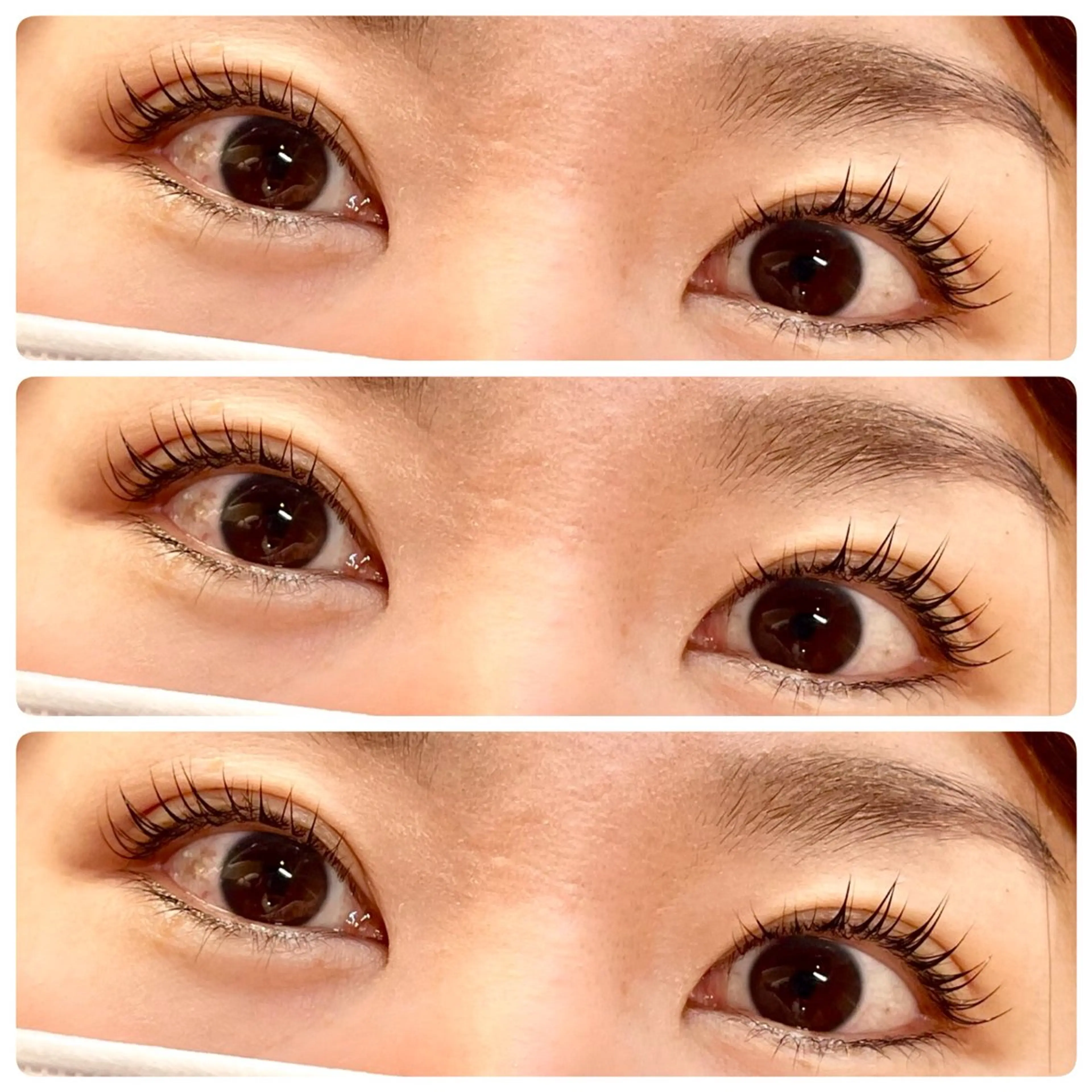 マツエク・マツパ Mii eyelistのマツエク・マツパデザイン
