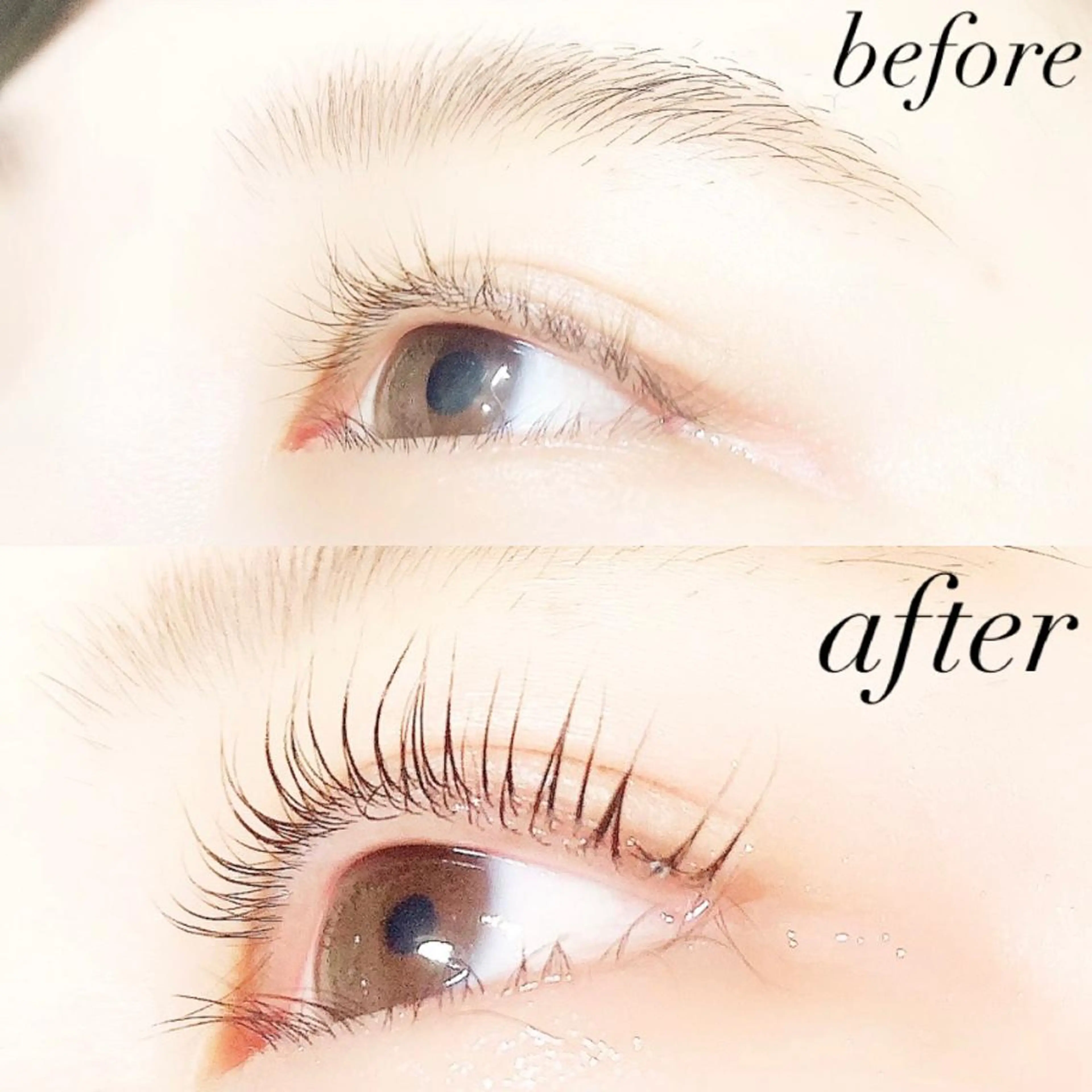 マツエク・マツパ まつげパーマ 【Lanhr】 🕊aya🕊のマツエク・マツパデザイン