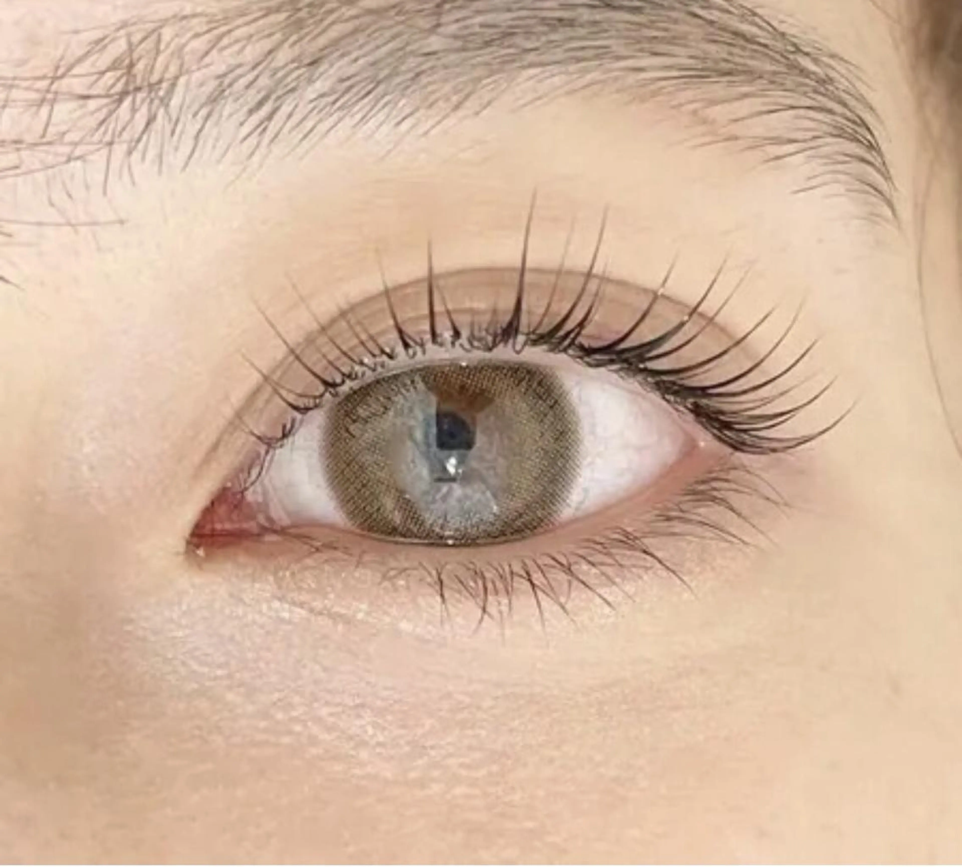 ダメージレスまつげパーマ (上)【新規/2回目】¥3990 3回以降➕800円の写真