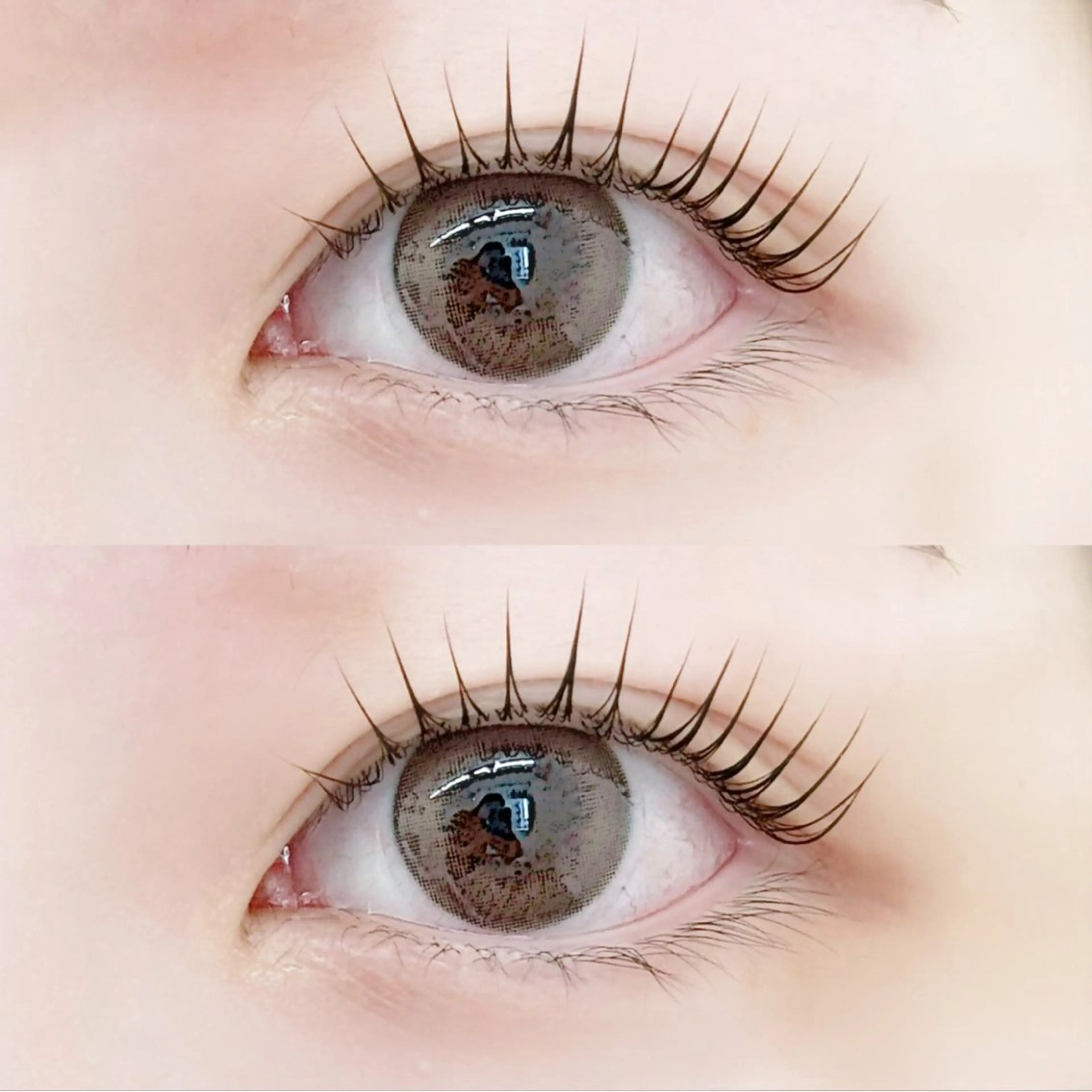 ご新規様限定🧸パリジェンヌラッシュリフト　すぐ予約⭕️の写真