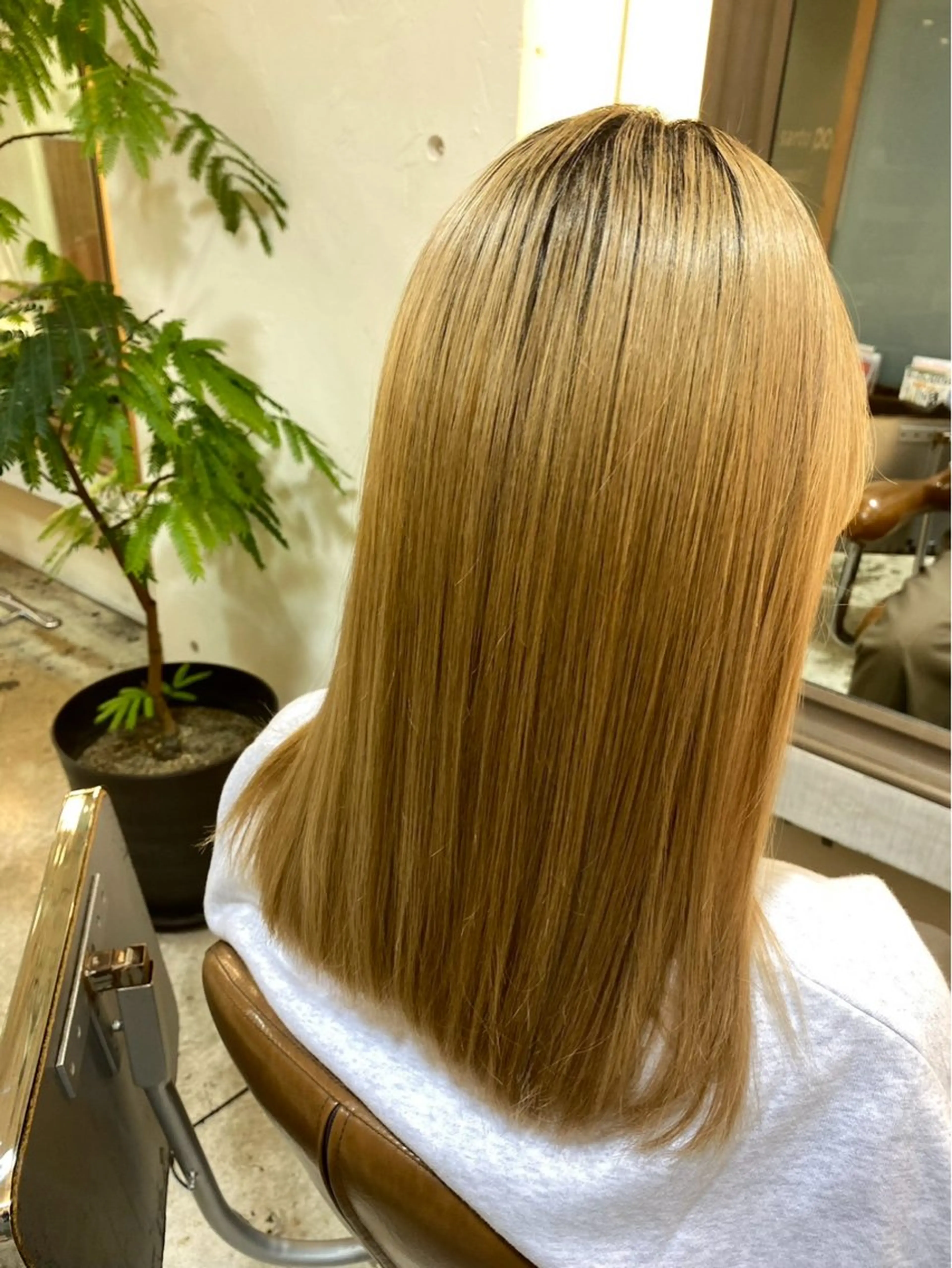 セミロング タツキ/レイヤー/ パーマ/艶カラーのヘアスタイル