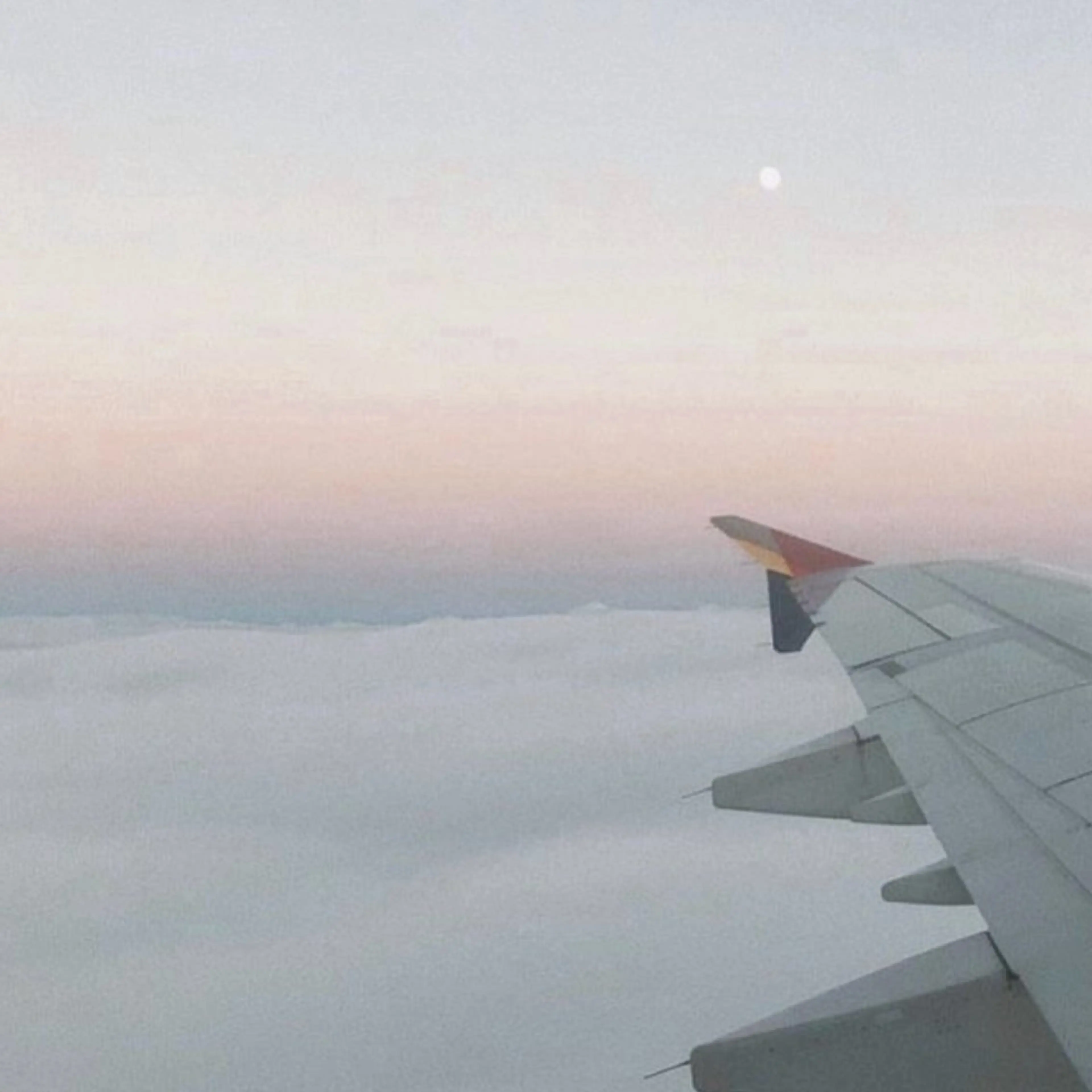 マツエク・マツパ マツパ🦋 keikoのマツエク・マツパデザイン