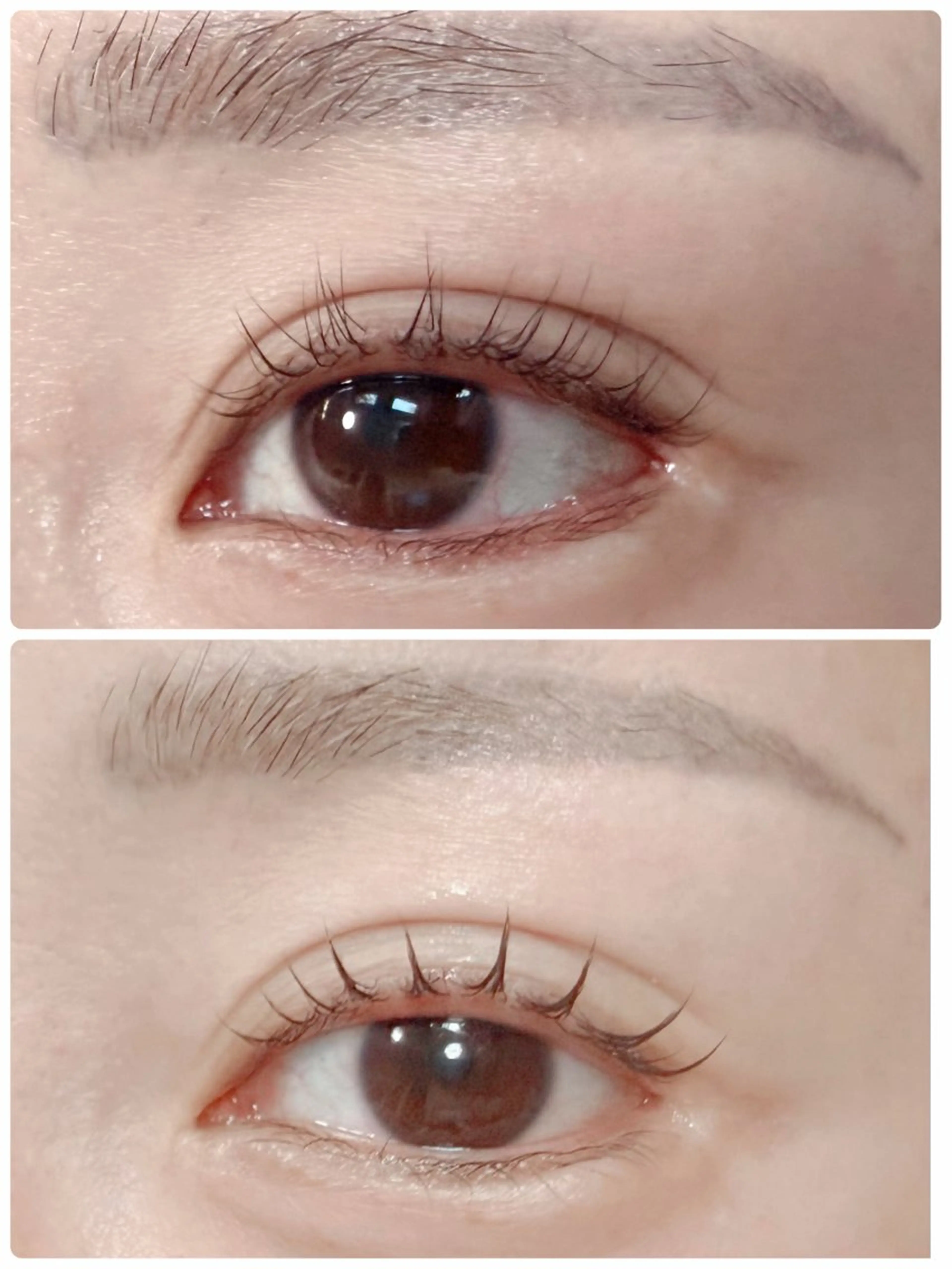 マツエク・マツパ ナチュラル パリジェンヌラッシュリフト マツパ Lash Lift WAVE🩵の眉毛・アイブロウイメージ
