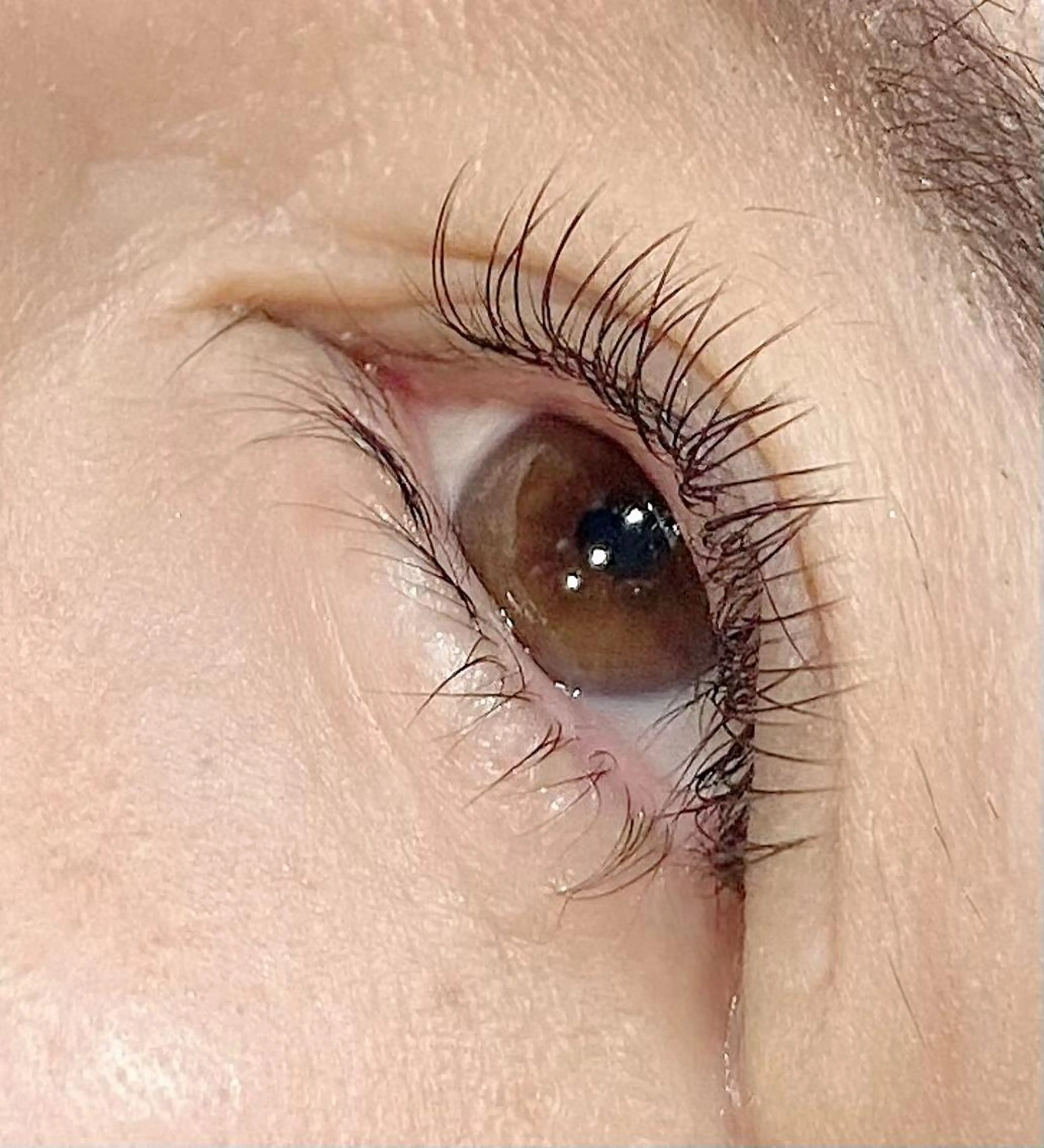 フラットラッシュ80本⚠️最後まで読んだ上でご予約ください⚠️の写真