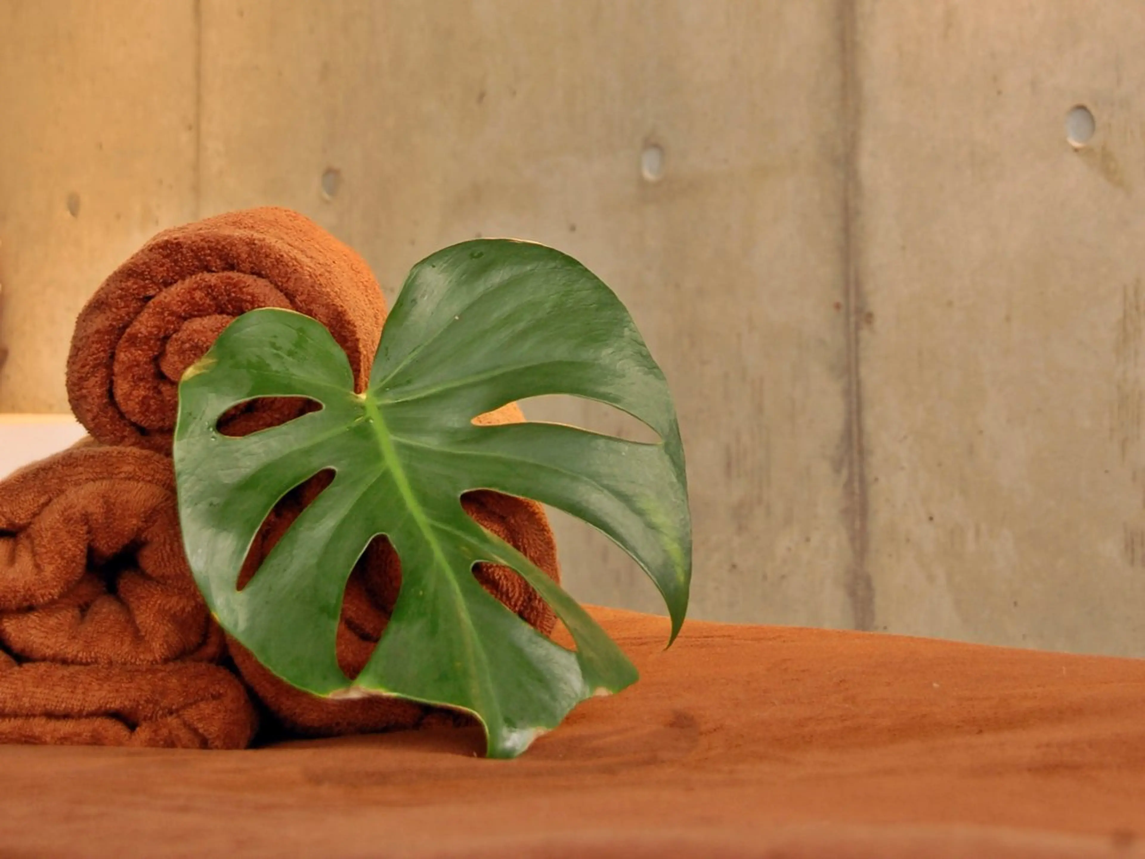 Solmare 中目黒 mutoのネイルデザイン