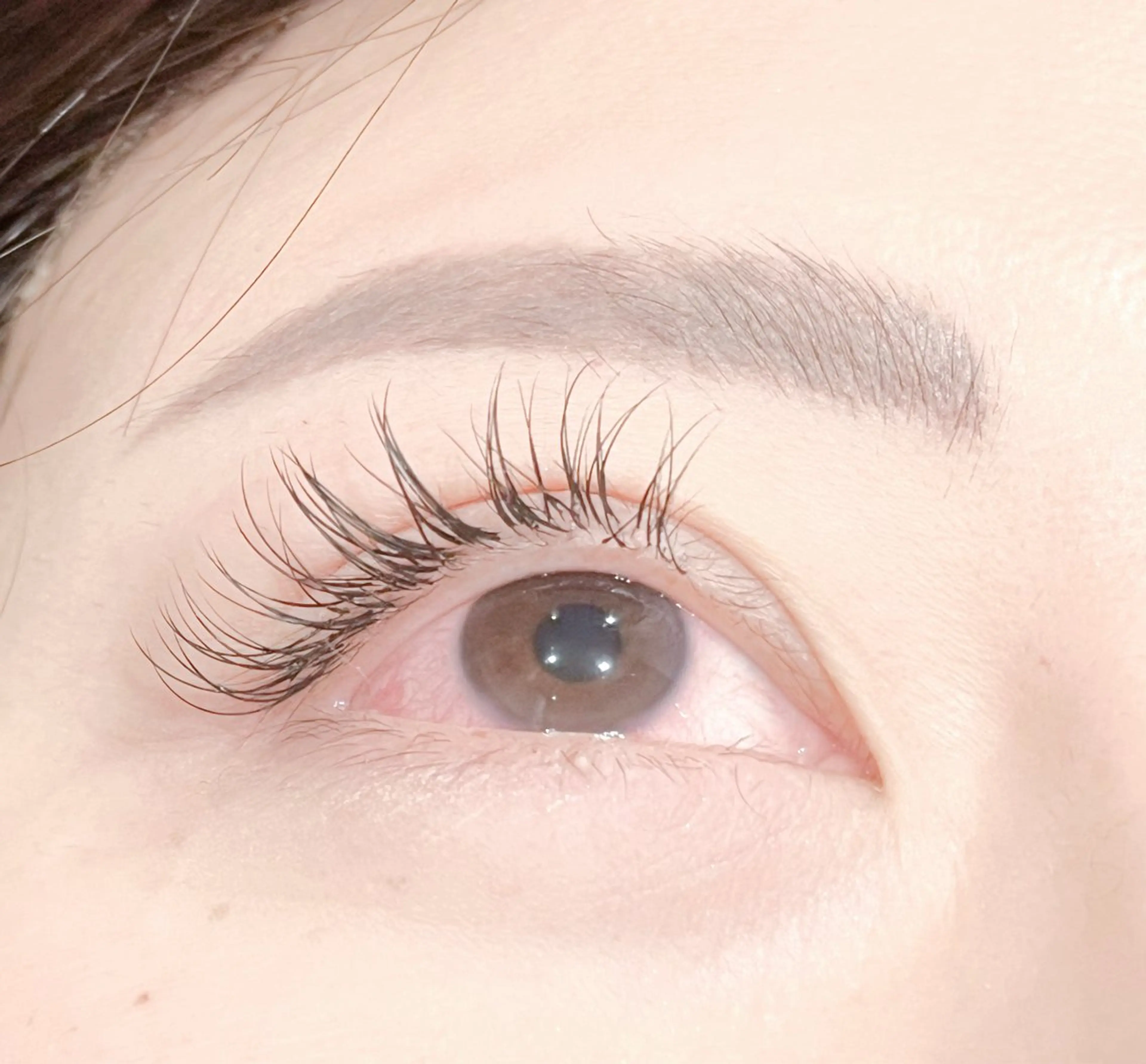 💫ご新規様限定💫ミンク100~120本までつけ放題 (オフ、コーティング込み)の写真