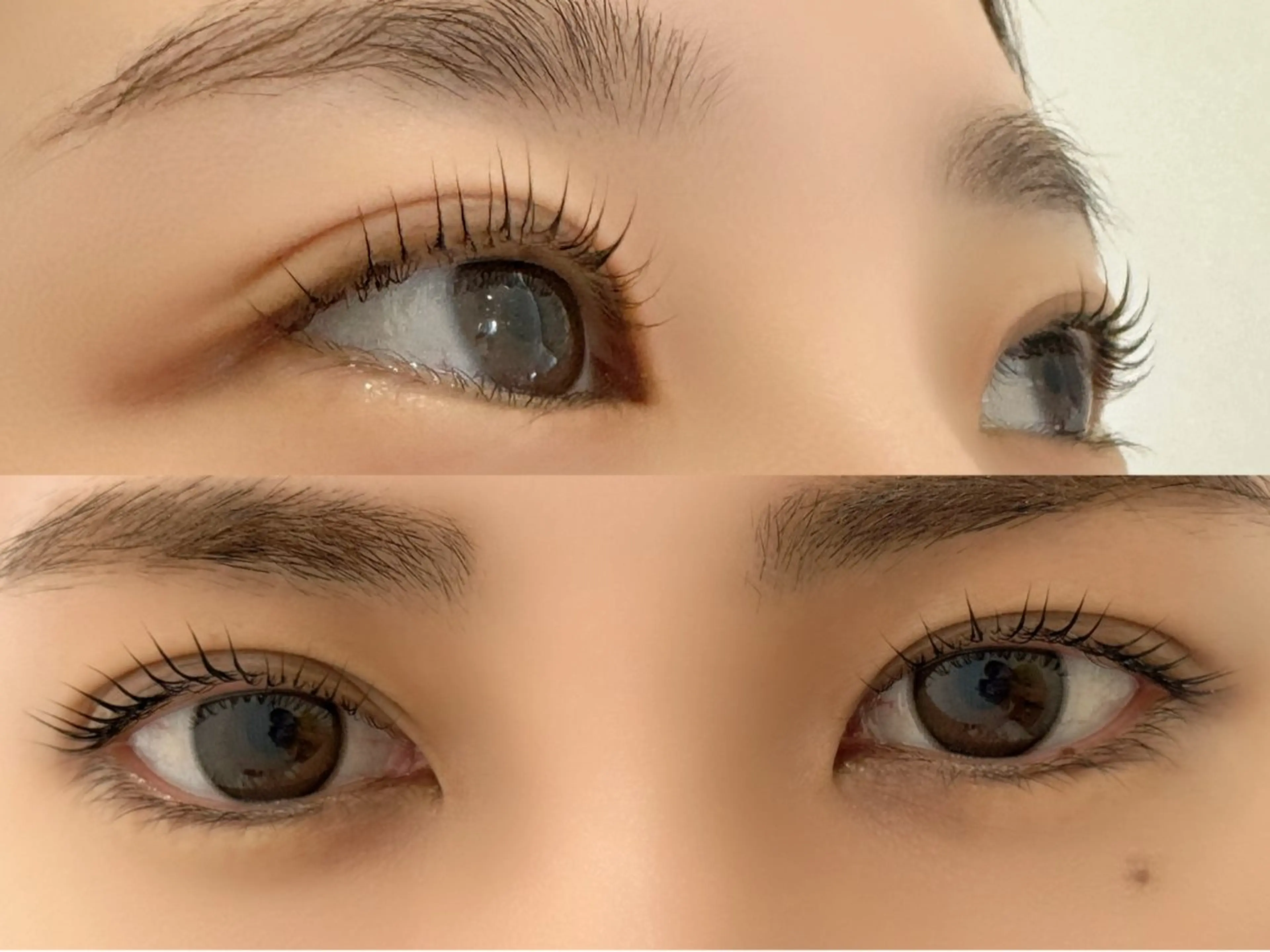 マツエク・マツパ 🧸Lily船橋 石川🌿‬のマツエク・マツパデザイン