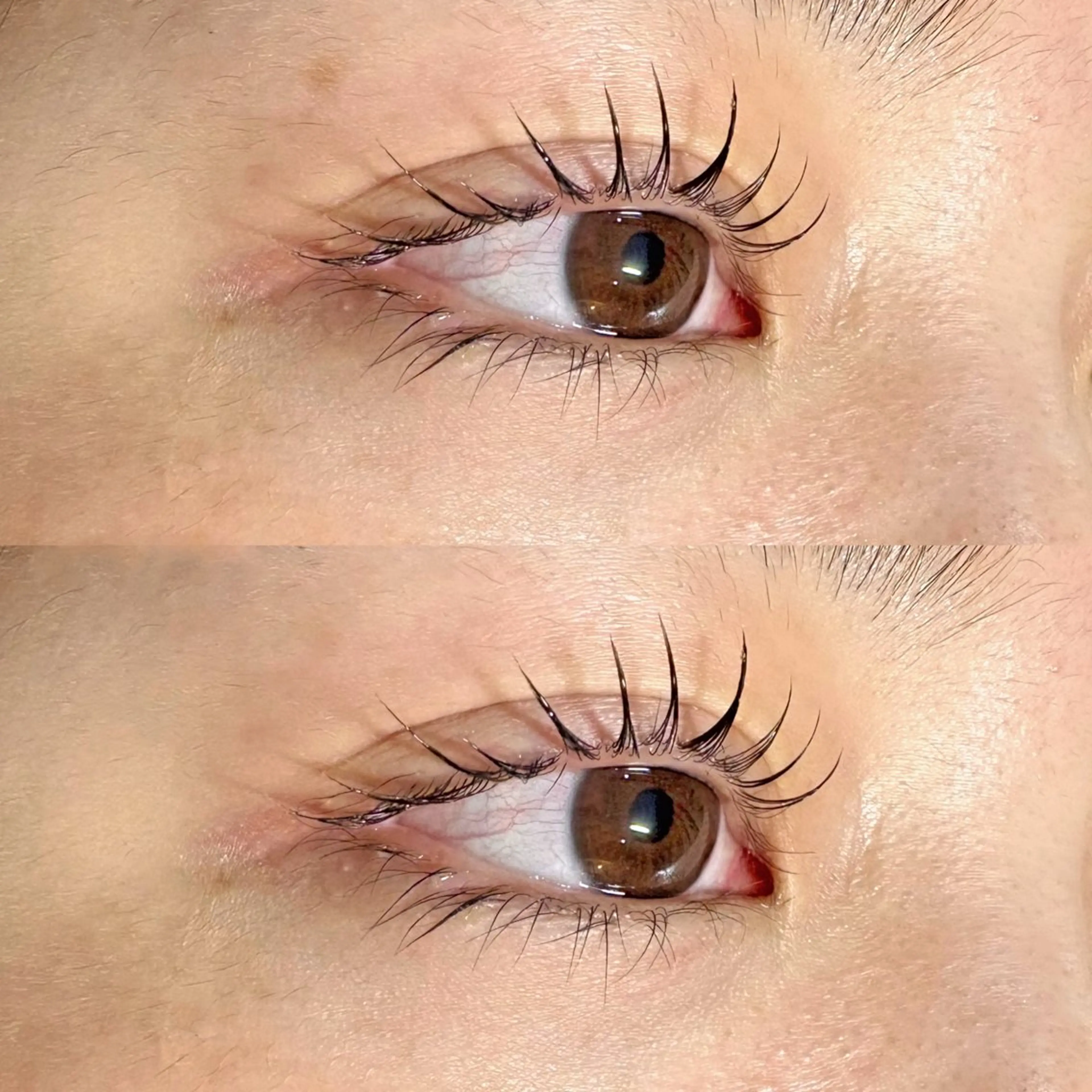 ラッシュリフト𓂃 𓈒𓏸の写真