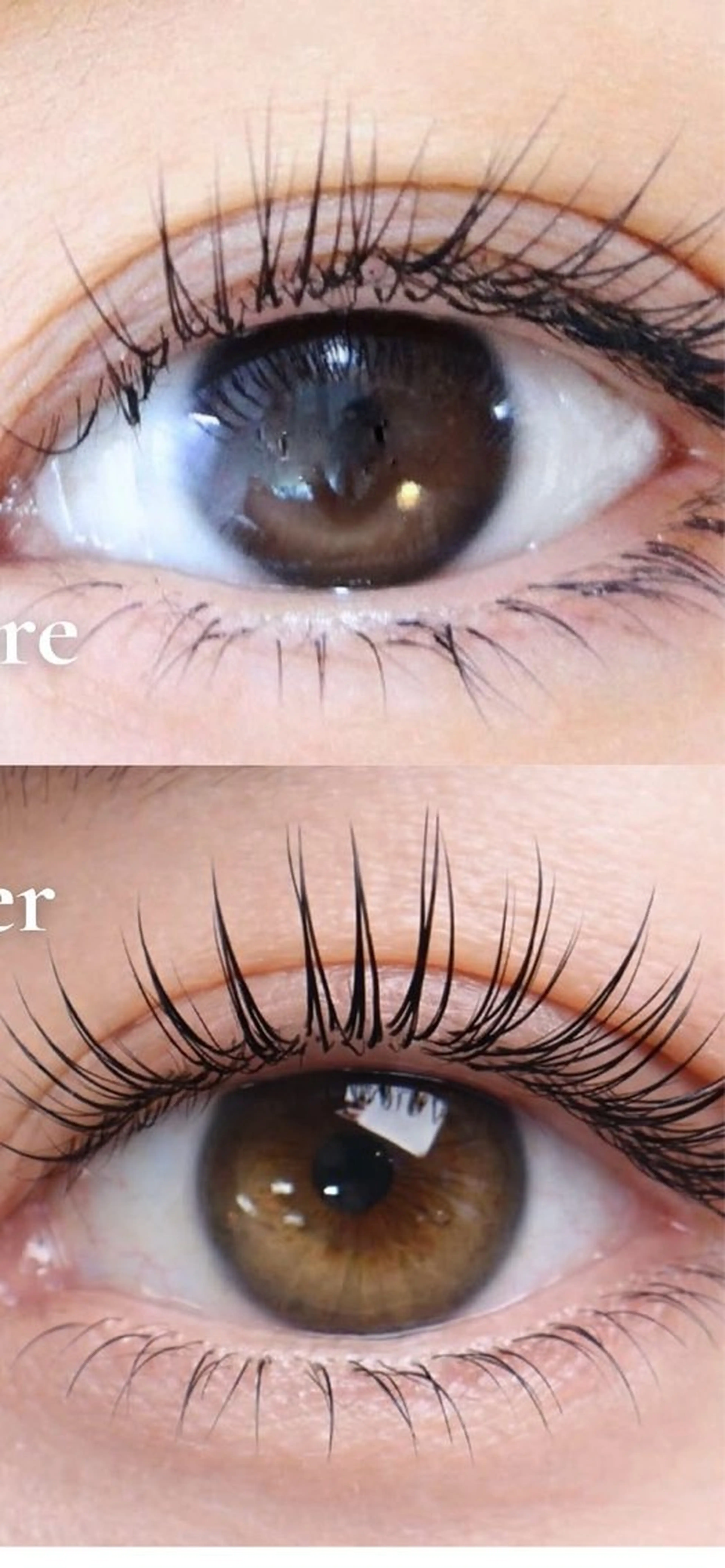 マツエク・マツパ 杉浦 ともこのマツエク・マツパデザイン