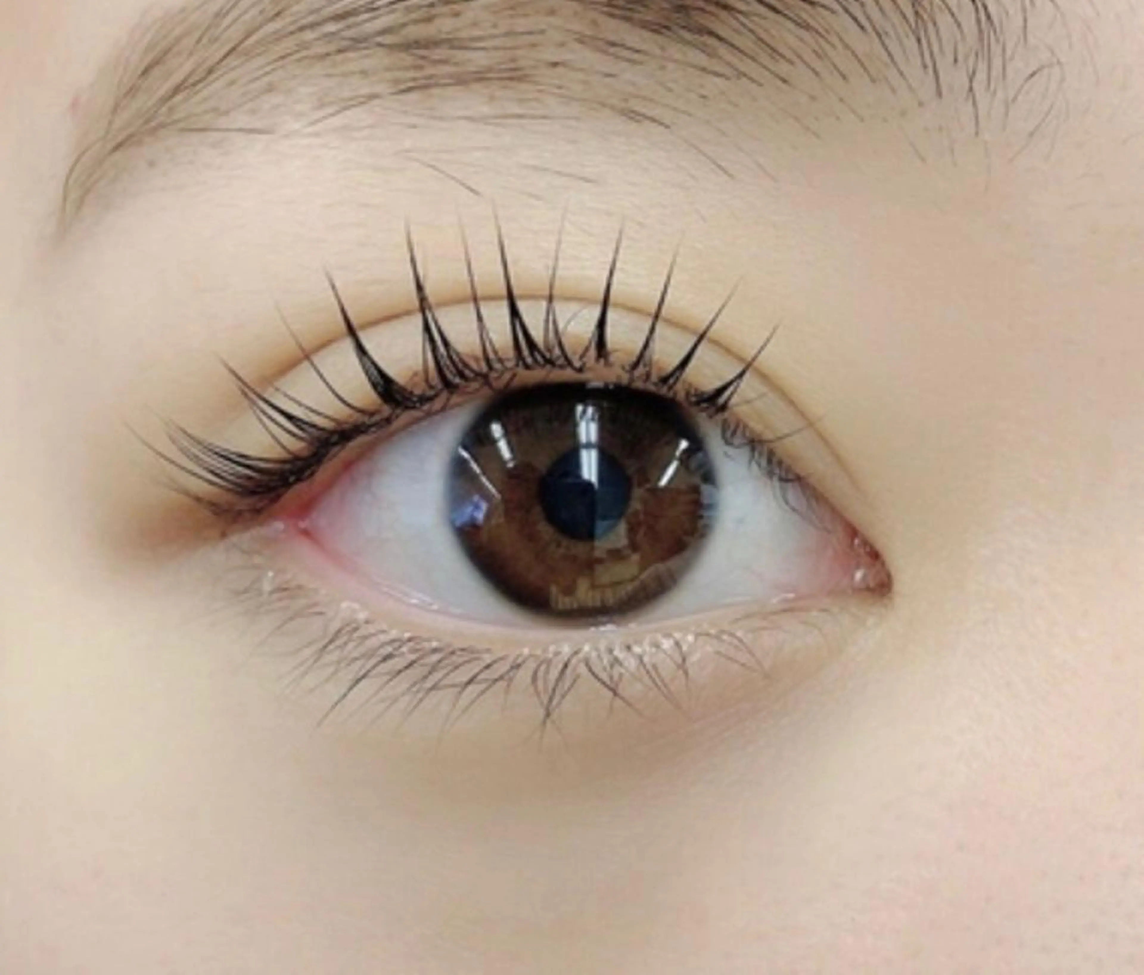 パリジェンヌラッシュリフトの写真